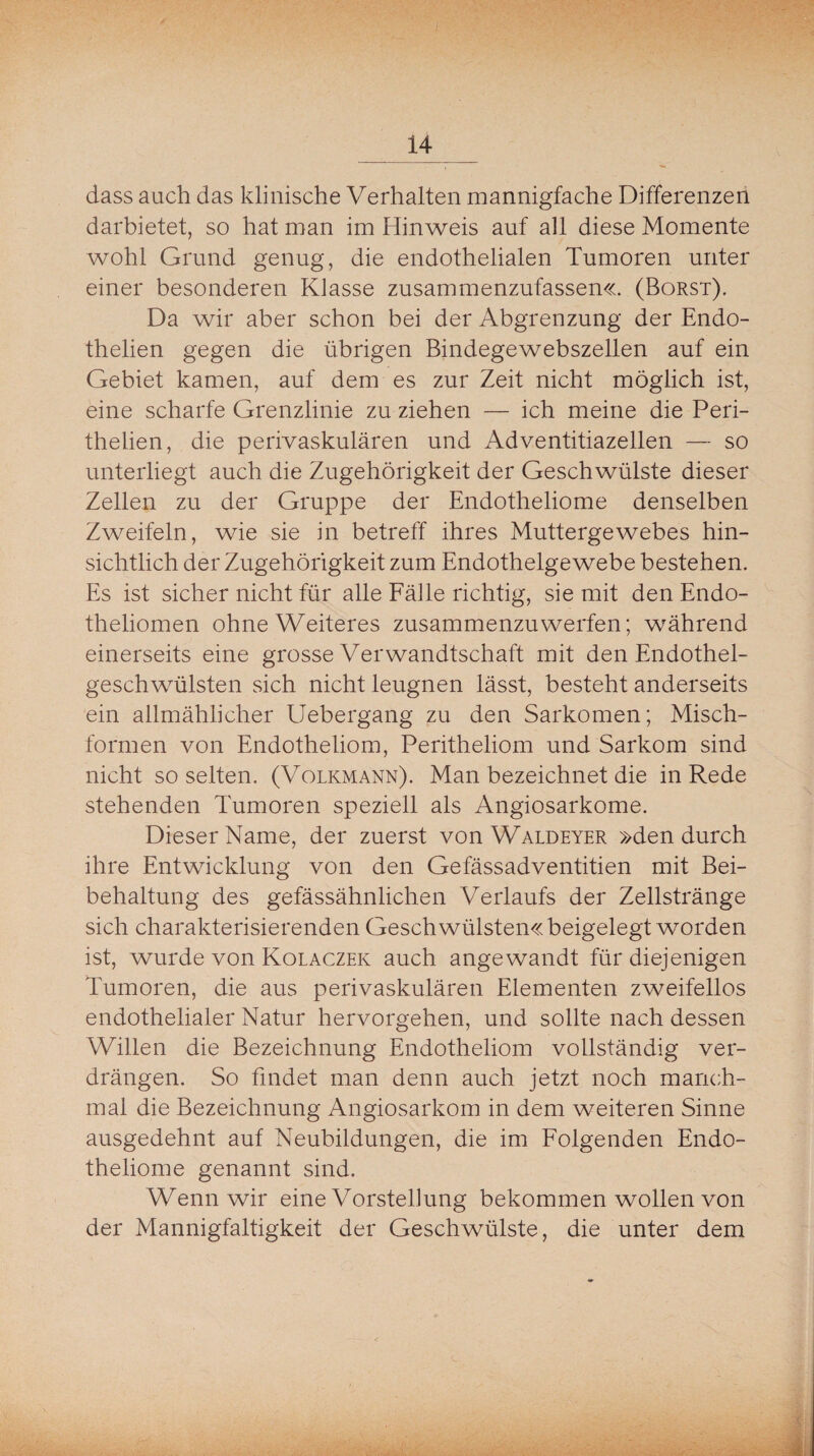 dass auch das klinische Verhalten mannigfache Differenzen darbietet, so hat man im Hinweis auf all diese Momente wohl Grund genug, die endothelialen Tumoren unter einer besonderen Klasse zusammenzufassen«. (Borst). Da wir aber schon bei der Abgrenzung der Endo- thelien gegen die übrigen Bindegewebszellen auf ein Gebiet kamen, auf dem es zur Zeit nicht möglich ist, eine scharfe Grenzlinie zu ziehen — ich meine die Peri- thelien, die perivaskulären und Adventitiazellen — so unterliegt auch die Zugehörigkeit der Geschwülste dieser Zellen zu der Gruppe der Endotheliome denselben Zweifeln, wie sie in betreff ihres Muttergewebes hin¬ sichtlich der Zugehörigkeit zum Endothelgewebe bestehen. Es ist sicher nicht für alle Fälle richtig, sie mit den Endo- theliomen ohne Weiteres zusammenzuwerfen; während einerseits eine grosse Verwandtschaft mit den Endothel¬ geschwülsten sich nicht leugnen lässt, besteht anderseits ein allmählicher Uebergang zu den Sarkomen; Misch¬ formen von Endotheliom, Peritheliom und Sarkom sind nicht so selten. (Volkmann). Man bezeichnet die in Rede stehenden Tumoren speziell als Angiosarkome. Dieser Name, der zuerst von Waldeyer »den durch ihre Entwicklung von den Gefässadventitien mit Bei¬ behaltung des gefässähnlichen Verlaufs der Zellstränge sich charakterisierenden Geschwülsten« beigelegt worden ist, wurde von Kolaczek auch angewandt für diejenigen Tumoren, die aus perivaskulären Elementen zweifellos endothelialer Natur hervorgehen, und sollte nach dessen Willen die Bezeichnung Endotheliom vollständig ver¬ drängen. So findet man denn auch jetzt noch manch¬ mal die Bezeichnung Angiosarkom in dem weiteren Sinne ausgedehnt auf Neubildungen, die im Folgenden Endo¬ theliome genannt sind. Wenn wir eine Vorstellung bekommen wollen von der Mannigfaltigkeit der Geschwülste, die unter dem