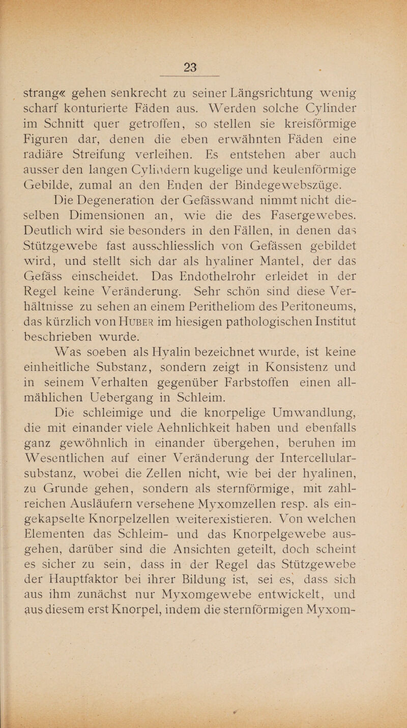 sträng« gehen senkrecht zu seiner Längsrichtung wenig scharf konturierte Fäden aus. Werden solche Cylinder im Schnitt quer getroffen, so stellen sie kreisförmige Figuren dar, denen die eben erwähnten Fäden eine radiäre Streifung verleihen. Es entstehen aber auch ausser den langen Cylindern kugelige und keulenförmige Gebilde, zumal an den Enden der Bindegewebszüge. Die Degeneration der Gefässwand nimmt nicht die¬ selben Dimensionen an, wie die des Fasergewebes. Deutlich wird sie besonders in den Fällen, in denen das Stützgewebe fast ausschliesslich von Gefässen gebildet wird, und stellt sich dar als hyaliner Mantel, der das Gefäss einscheidet. Das Endothelrohr erleidet in der Regel keine Veränderung. Sehr schön sind diese Ver¬ hältnisse zu sehen an einem Peritheliom des Peritoneums, das kürzlich von Huber im hiesigen pathologischen Institut beschrieben wurde. Was soeben als Hyalin bezeichnet wurde, ist keine einheitliche Substanz, sondern zeigt in Konsistenz und in seinem Verhalten gegenüber Farbstoffen einen all¬ mählichen Uebergang in Schleim. Die schleimige und die knorpelige Umwandlung, die mit einander viele Aehnlichkeit haben und ebenfalls ganz gewöhnlich in einander übergehen, beruhen im Wesentlichen auf einer Veränderung der Intercellular¬ substanz, wobei die Zellen nicht, wie bei der hyalinen, zu Grunde gehen, sondern als sternförmige, mit zahl¬ reichen Ausläufern versehene Myxomzellen resp. als ein¬ gekapselte Knorpelzellen weiterexistieren. Von welchen Elementen das Schleim- und das Knorpelgewebe aus¬ gehen, darüber sind die Ansichten geteilt, doch scheint es sicher zu sein, dass in der Regel das Stützgewebe der Hauptfaktor bei ihrer Bildung ist, sei es', dass sich aus ihm zunächst nur Myxomgewebe entwickelt, und aus diesem erst Knorpel, indem die sternförmigen Myxonv *•
