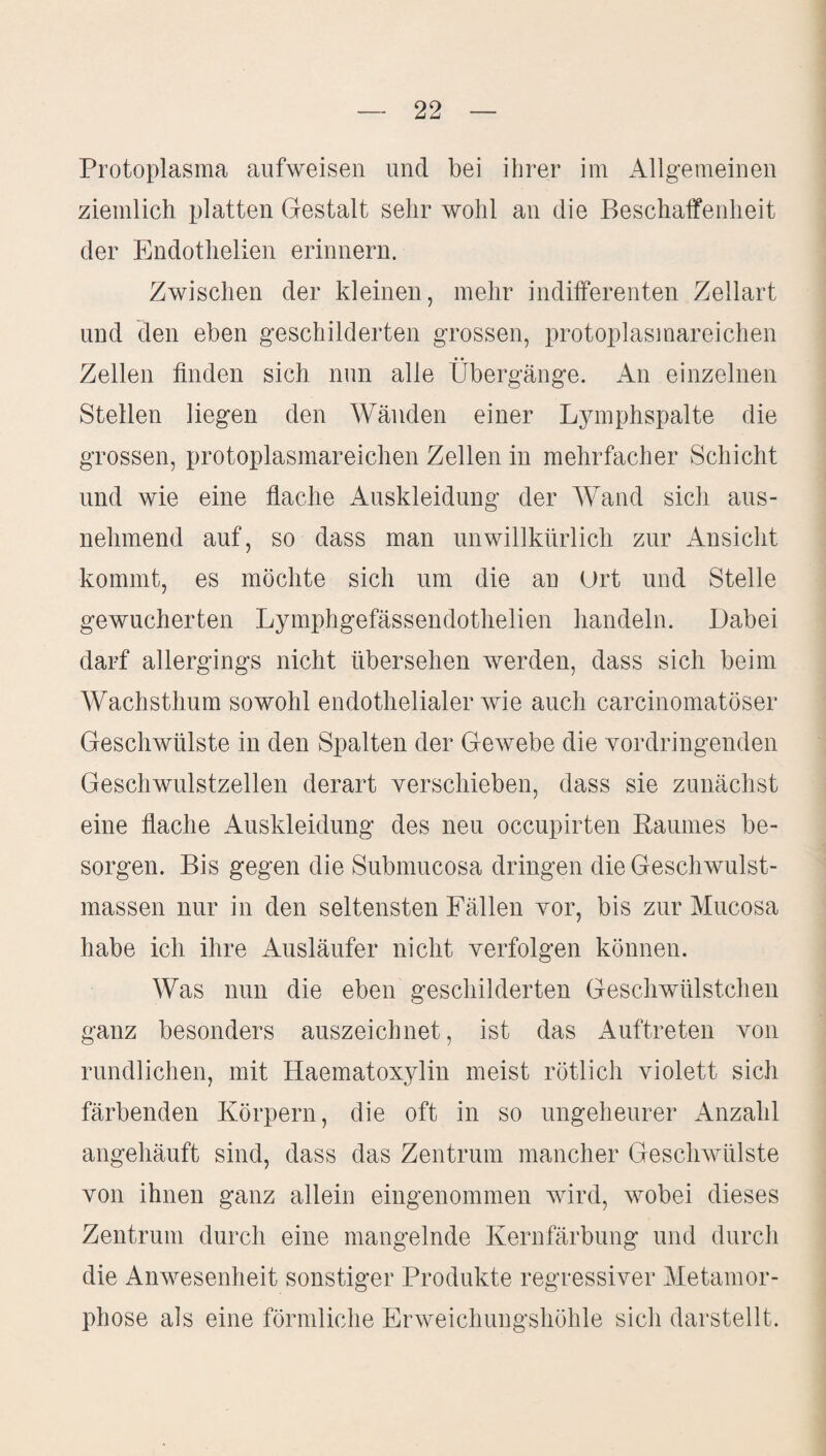 Protoplasma aufweisen und bei ihrer im Allgemeinen ziemlich platten Gestalt sehr wohl an die Beschaffenheit der Endothelien erinnern. Zwischen der kleinen, mehr indifferenten Zellart und den eben geschilderten grossen, protoplasmareichen Zellen finden sich nun alle Übergänge. An einzelnen Stellen liegen den Wänden einer Lymphspalte die grossen, protoplasmareichen Zellen in mehrfacher Schicht und wie eine flache Auskleidung der Wand sich aus¬ nehmend auf, so dass man unwillkürlich zur Ansicht kommt, es möchte sich um die an Ort und Stelle gewucherten Lymphgefässendothelien handeln. Dabei darf allergings nicht übersehen werden, dass sich beim Wachsthum sowohl endothelialer wie auch carcinomatöser Geschwülste in den Spalten der Gewebe die vordringenden Geschwulstzellen derart verschieben, dass sie zunächst eine flache Auskleidung des neu occupirten Baumes be¬ sorgen. Bis gegen die Submucosa dringen die Geschwulst¬ massen nur in den seltensten Fällen vor, bis zur Mucosa habe ich ihre Ausläufer nicht verfolgen können. Was nun die eben geschilderten Geschwülstchen ganz besonders auszeichnet, ist das Auftreten von rundlichen, mit Haematoxylin meist rötlich violett sich färbenden Körpern, die oft in so ungeheurer Anzahl angehäuft sind, dass das Zentrum mancher Geschwülste von ihnen ganz allein eingenommen wird, wobei dieses Zentrum durch eine mangelnde Kernfärbung und durch die Anwesenheit sonstiger Produkte regressiver Metamor¬ phose als eine förmliche Erweichungshöhle sich darstellt.