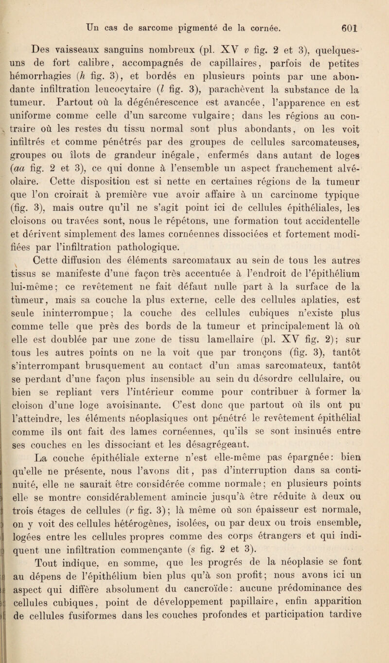 i f il1 il II: >1 Des vaisseaux sanguins nombreux (pl. XV v fig. 2 et 3), quelques- uns de fort calibre, accompagnés de capillaires, parfois de petites hémorrhagies (h fig. 3), et bordés en plusieurs points par une abon¬ dante infiltration leucocytaire (l fig. 3), parachèvent la substance de la tumeur. Partout où la dégénérescence est avancée, l’apparence en est uniforme comme celle d’un sarcome vulgaire; dans les régions au con¬ traire où les restes du tissu normal sont plus abondants, on les voit infiltrés et comme pénétrés par des groupes de cellules sarcomateuses, groupes ou îlots de grandeur inégale, enfermés dans autant de loges (aa fig. 2 et 3), ce qui donne à l’ensemble un aspect franchement alvé¬ olaire. Cette disposition est si nette en certaines régions de la tumeur que l’on croirait à première vue avoir affaire à un carcinome typique (fig. 3), mais outre qu’il ne s’agit point ici de cellules épithéliales, les cloisons ou travées sont, nous le répétons, une formation tout accidentelle et dérivent simplement des lames cornéennes dissociées et fortement modi¬ fiées par l’infiltration pathologique. Cette diffusion des éléments sarcomataux au sein de tous les autres tissus se manifeste d’une façon très accentuée à l’endroit de l’épithélium lui-même ; ce revêtement ne fait défaut nulle part à la surface de la tumeur, mais sa couche la plus externe, celle des cellules aplaties, est seule ininterrompue ; la couche des cellules cubiques n’existe plus comme telle que près des bords de la tumeur et principalement là où elle est doublée par une zone de tissu lamellaire (pl. XV fig. 2); sur tous les autres points on ne la voit que par tronçons (fig. 3), tantôt s’interrompant brusquement au contact d’un amas sarcomateux, tantôt se perdant d’une façon plus insensible au sein du désordre cellulaire, ou bien se repliant vers l’intérieur comme pour contribuer à former la cloison d’une loge avoisinante. C’est donc que partout où ils ont pu l’atteindre, les éléments néoplasiques ont pénétré le revêtement épithélial comme ils ont fait des lames cornéennes, qu’ils se sont insinués entre ses couches en les dissociant et les désagrégeant. La couche épithéliale externe n’est elle-même pas épargnée: bien qu’elle ne présente, nous l’avons dit, pas d’interruption dans sa conti¬ nuité, elle ne saurait être considérée comme normale; en plusieurs points elle se montre considérablement amincie jusqu’à être réduite à deux ou trois étages de cellules (r fig. 3) ; là même où son épaisseur est normale, on y voit des cellules hétérogènes, isolées, ou par deux ou trois ensemble, logées entre les cellules propres comme des corps étrangers et qui indi¬ quent une infiltration commençante (s fig. 2 et 3). Tout indique, en somme, que les progrès de la néoplasie se font au dépens de l’épithélium bien plus qu’à son profit; nous avons ici un aspect qui diffère absolument du cancroïde: aucune prédominance des cellules cubiques, point de développement papillaire, enfin apparition de cellules fusiformes dans les couches profondes et participation tardive