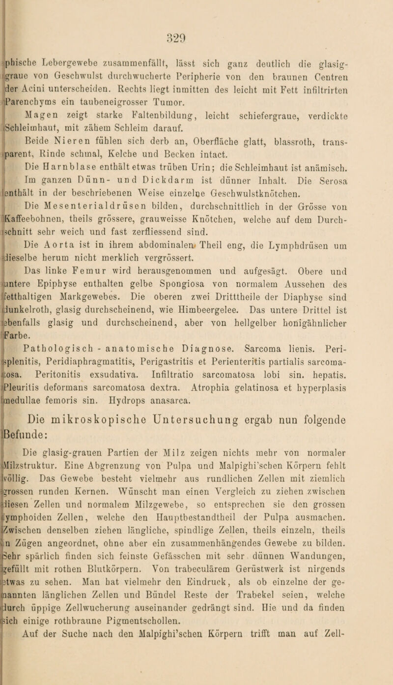 pbische Lebergewebe zusammenfällt, lässt sich ganz deutlich die glasig- i graue von Geschwulst durch wucherte Peripherie von den braunen Centren der Acini unterscheiden. Rechts liegt inmitten des leicht mit Fett infiltrirten Parenchyms ein taubeneigrosser Tumor. Magen zeigt starke Faltenbildung, leicht schiefergraue, verdickte iSchleimhaut, mit zähem Schleim darauf. Beide Nieren fühlen sich derb an, Oberfläche glatt, blassrotb, trans¬ parent, Rinde schmal, Kelche und Becken intact. Die Harnblase enthält etwas trüben Urin; die Schleimhaut ist anämisch. Im ganzen Dünn- und Dickdarm ist dünner Inhalt. Die Serosa Ienthält in der beschriebenen Weise einzelne Geschwulstknötchen. Die Mesenterialdrüsen bilden, durchschnittlich in der Grösse von Kaffeebohnen, theils grössere, grauweisse Knötchen, welche auf dem Durch¬ schnitt sehr weich und fast zerfliessend sind. Die Aorta ist in ihrem abdominalen/Theil eng, die Lymphdrüsen um dieselbe herum nicht merklich vergrössert. Das linke Femur wird herausgenommen und aufgesägt. Obere und • untere Epiphyse enthalten gelbe Spongiosa von normalem Aussehen des (fetthaltigen Markgewebes. Die oberen zwei Dritttheile der Diapbyse sind Junkelroth, glasig durchscheinend, wie Himbeergelee. Das untere Drittel ist (ebenfalls glasig und durchscheinend, aber von hellgelber honigähnlicher Farbe. Pathologisch - anatomische Diagnose. Sarcoma lienis. Peri¬ splenitis, Peridiaphragmatitis, Perigastritis et Perienteritis partialis sarcoma- |cosa. Peritonitis exsudativa. Infiltratio sarcomatosa lobi sin. hepatis. Pleuritis deformans sarcomatosa dextra. Atrophia gelatinosa et hyperplasis medullae femoris sin. Hydrops anasarca. Die mikroskopische Untersuchuog ergab nun folgende Befunde: Die glasig-grauen Partien der Milz zeigen nichts mehr von normaler Milzstruktur. Eine Abgrenzung von Pulpa und Malpighi’schen Körpern fehlt völlig. Das Gewebe besteht vielmehr aus rundlichen Zellen mit ziemlich (grossen runden Kernen. Wünscht man einen Vergleich zu ziehen zwischen fliesen Zellen und normalem Milzgewebe, so entsprechen sie den grossen iymphoiden Zellen, welche den Hauptbestandteil der Pulpa ausmachen, ^wischen denselben ziehen längliche, spindlige Zellen, theils einzeln, theils hn Zügen angeordnet, ohne aber ein zusammenhängendes Gewebe zu bilden. Sehr spärlich finden sich feinste Gefässchen mit sehr dünnen Wandungen, (gefüllt mit rothen Blutkörpern. Von trabeculärem Gerüstwerk ist nirgends btwas zu sehen. Man hat vielmehr den Eindruck, als ob einzelne der ge¬ mannten länglichen Zellen und Bündel Reste der Trabekel seien, welche idurch üppige Zellwucherung auseinander gedrängt sind. Hie und da finden isich einige rothbraune Pigmentschollen. Auf der Suche nach den Malpighi’schen Körpern trifft man auf Zell-