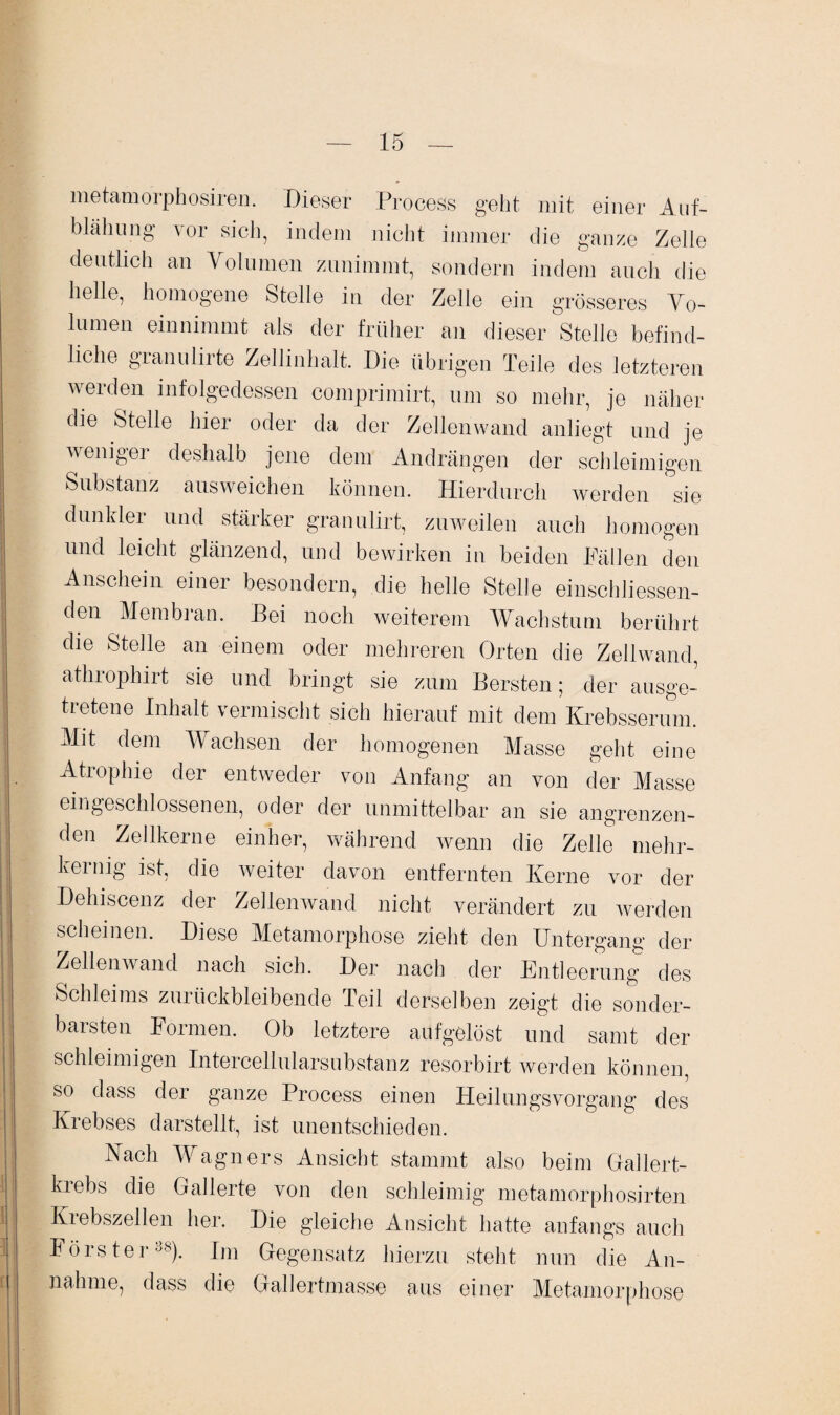 metamorphosiren. Dieser Process geht mit einer Auf¬ blähung vor sich, indem nicht immer die ganze Zelle deutlich an Volumen zunimmt, sondern indem auch die helle, homogene Stelle in der Zelle ein grösseres Vo¬ lumen einnimmt als der früher an dieser Stelle befind¬ liche granulirte Zellinhalt. Die übrigen Teile des letzteren werden infolgedessen comprimirt, um so mehr, je näher die Stelle hier oder da der Zellenwand anliegt und je weniger deshalb jene dem Andrängen der schleimigen Substanz ausweichen können. Hierdurch werden sie dunkler und stärker granulirt, zuweilen auch homogen und leicht glänzend, und bewirken in beiden Fällen den Anschein einer besondern, die helle Stelle einschliessen¬ den Membran. Bei noch weiterem Wachstum berührt die Stelle an einem oder mehreren Orten die Zellwand, athrophirt sie und bringt sie zum Bersten; der ausge¬ tretene Inhalt vermischt sich hierauf mit dem Krebsserum. Mit dem Wachsen der homogenen Masse geht eine Atrophie der entweder von Anfang an von der Masse ein geschlossen en, oder der unmittelbar an sie angrenzen¬ den Zellkerne einher, während wenn die Zelle mehr- kernig ist, die weiter davon entfernten Kerne vor der Dehiscenz der Zellenwand nicht verändert zu werden scheinen. Diese Metamorphose zieht den Untergang der Zellenwand nach sich. Der nach der Entleerung des Schleims zurückbleibende Teil derselben zeigt die sonder¬ barsten Formen. Ob letztere aufgelöst und samt der schleimigen Intercellularsubstanz resorbirt werden können, so dass der ganze Process einen Heilungsvorgang des Krebses darstellt, ist unentschieden. Nach Wagners Ansicht stammt also beim Gallert- kiebs die Gallerte von den schleimig metamorphosirten Krebszellen her. Die gleiche Ansicht hatte anfangs auch Förster38). Im Gegensatz hierzu steht nun die An¬ nahme, dass die Gallertmasse aus einer Metamorphose