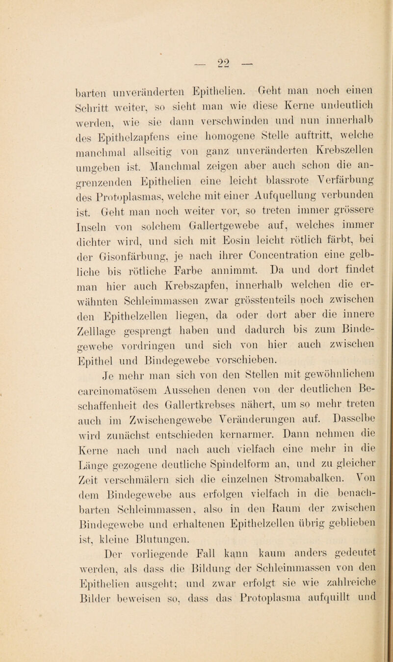 barten unveränderten Epithelien. Geht man noch einen Schritt weiter, so sieht man wie diese Kerne undeutlich werden, wie sie dann verschwinden und nun innerhalb des Epithelzapfens eine homogene Stelle auftritt, welche manchmal allseitig von ganz unveränderten Krebszellen umgeben ist. Manchmal zeigen aber auch schon die an¬ grenzenden Epithelien eine leicht blassrote Verfärbung des Protoplasmas, welche mit einer Aufquellung verbunden ist. Geht man noch weiter vor, so treten immer grössere Inseln von solchem Gallertgewebe auf, welches immer dichter wird, und sich mit Eosin leicht rötlich färbt, bei der Gisonfärbung, je nach ihrer Concentration eine gelb¬ liche bis rötliche Farbe annimmt. Da und dort findet man hier auch Krebszapfen, innerhalb welchen die er¬ wähnten Schleimmassen zwar grösstenteils noch zwischen den Epithelzellen liegen, da oder dort aber die innere Zelllage gesprengt haben und dadurch bis zum Binde- a-ewebe Vordringen und sich von hier auch zwischen Epithel und Bindegewebe vorschieben. Je mehr man sich von den Stellen mit gewöhnlichem carcinomatösem Aussehen denen von der deutlichen Be¬ schaffenheit des Gallertkrebses nähert, um so mehr treten auch im Zwischengewebe Veränderungen auf. Dasselbe wird zunächst entschieden kernarmer. Dann nehmen die Kerne nach und nach auch vielfach eine mehr in die Länge gezogene deutliche Spindelform an, und zu gleicher Zeit verseilmälern sich die einzelnen Stromabalken. Von dem Bindegewebe aus erfolgen vielfach in die benach¬ barten Schleimmassen, also in den Raum der zwischen Bindegewebe und erhaltenen Epithelzellen übrig geblieben ist, kleine Blutungen. Der vorliegende Fall kann kaum anders gedeutet werden, als dass die Bildung der Schleimmassen von den Epithelien ausgeht; und zwar erfolgt sie wie zahlreiche Bilder beweisen so, dass das Protoplasma aufquillt und