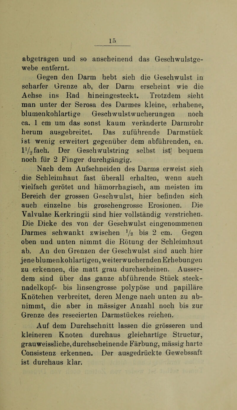 abgetragen und so anscheinend das Geschwulstge¬ webe entfernt. Gegen den Darm hebt sich die Geschwulst in scharfer Grenze ab, der Darm erscheint wie die Achse ins Rad hineingesteckt. Trotzdem sieht man unter der Serosa des Darmes kleine, erhabene, blumenkohlartige Geschwulstwucherungen noch ca. 1 cm um das sonst kaum veränderte Darmrohr herum ausgebreitet. Das zuführende Darmstück ist wenig erweitert gegenüber dem abführenden, ca. Gefach. Der Geschwulstring selbst ist) bequem noch für 2 Finger durchgängig. Nach dem Aufschneiden des Darms erweist sich die Schleimhaut fast überall erhalten, wenn auch vielfach gerötet und hämorrhagisch, am meisten im Bereich der grossen Geschwulst, hier befinden sich auch einzelne bis groschengrosse Erosionen. Die Valvulae Rerkringii sind hier vollständig verstrichen. Die Dicke des von der Geschwulst eingenommenen Darmes schwankt zwischen V2 bis 2 cm. Gegen oben und unten nimmt die Rötung der Schleimhaut ab. An den Grenzen der Geschwulst sind auch hier jene blumenkohlartigen, weiterwuchernden Erhebungen zu erkennen, die matt grau durchscheinen. Ausser¬ dem sind über das ganze abführende Stück steck- nadelkopf- bis linsengrosse polypöse und papilläre Knötchen verbreitet, deren Menge nach unten zu ab¬ nimmt, die aber in mässiger Anzahl noch bis zur Grenze des resecierten Darmstückes reichen. Auf dem Durchschnitt lassen die grösseren und kleineren Knoten durchaus gleichartige Structur, grauweissliche, durchscheinende Färbung, mässig harte Consistenz erkennen. Der ausgedrückte Gewebssaft ist durchaus klar.