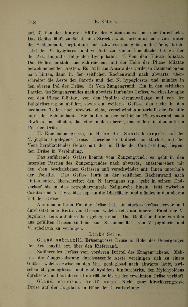 auf. 3) Von der hinteren Halfte des Seitenrandes und der Unterfiache. Das Gefass lauft zunachst eine Strecke weit horizontal nach yorn unter der Schleimhaut, biegt dann nach abwarts nm, geht in die Tiefe, durch- setzt den M. hyoglossus und verlauft an seiner Innenflache his zu der der Art. lingualis folgenden Lymphhahn. 4) Von den Plicae foliatae. Das Gefass entsteht aus zahlreichen, auf der Hohe der Plicae foliatae herabkommenden Aesten. Es lauft am Ansatz des vorderen Gaumenbogens nach hinten, dann in der seitlichen Rachenwand nach abwarts, iiber- schreitet die Aeste der Carotis und den N. hypoglossus und miindet in den oberen Pol der Driise. 5) Vom Zungengrund. Ein in den seitlichen Partien des Zungengrundes nach abwarts laufendes Gefass, welches Lymphe von den Plicae foliatae, von den Papillae circumvallatae und von der Balgdriisenregion abfiihrt, sowie ein weiteres Gefass, das mehr in den medianen Teilen nach abwarts zieht, verschwinden unterhalb der Tonsille unter der Schleimhaut. Sie laufen in der seitlichen Pharynxwand nach abwarts und miinden, das eine in den oberen, das andere in den unteren Pol der Driise. II. Eine bohnengrosse, in Hohe des Schildknorpels auf der V. jugularis gelegene Driise. Dieselbe steht durch ein starkes, auf der Vene herablaufendes Gefass mit der in Hohe der Carotisteilung liegen- den Driise in Verbindung. Das zufiihrende Gefass kommt vom Zungengrund; es geht in den lateralen Partien des Zungengrundes nach abwarts, anastomosiert mit den oben beschriebenen Gefassen und verschwindet mit ihnen unterhalb der Tonsille. Das Gefass lauft in der seitlichen Rachenwand nach hinten unten, iiberschreitet den N. laryngeus sup., geht in seinem End- verlauf bis in das retropharyngeale Zellgewebe hinein, tritt zwischen Carotis und A. thyreoidea sup. an die Oberflache und miindet in den oberen Pol der Driise. Aus dem unteren Pol der Driise tritt ein starkes Gefass hervor und durchsetzt eine Kette von Driisen, welche teils am inneren Rand der V. jugularis, teils auf derselben gelegen sind. Das Gefass und die von ihm aus gefullten Driisen sind bis zum Zusammenfluss von V. jugularis und V. subclavia zu verfolgen. Linke Seite. Gland, sub max ill. Erbsengrosse Driise in Hohe des Ueberganges der Art. maxill. ext. iiber den Kieferrand. Zufiihrendes Gefass vom vorderen Drittel des Zungenriickens. Meh- rere die Zungensubstanz durchsetzende Aeste vereinigen sich zu einem Gefass, welches zwischen den Mm. genioglossi nach abwarts lauft, zwi¬ schen M. genioglossus und geniohyoideus hindurchtritt, den Mylohyoideus durchsetzt und auf dessen Unterfiache bis zu der erwahnten Driise verlauft. Gland, cervical, proff. supp. Nicht ganz kirschkerngrosse Driise auf der Jugularis in Hohe der Carotisteilung.