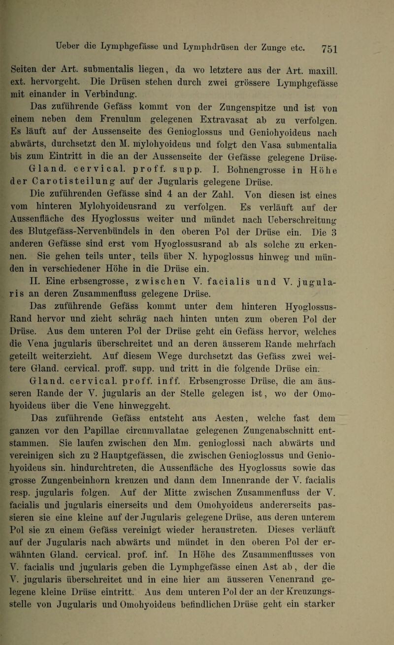 Seiten der Art. submentalis liegen, da wo letztere aus der Art. maxill. ext. hervorgeht. Die Driisen stehen durch zwei grossere Lymphgefasse mit einander in Verbindung. Das zufiihrende Gefass kommt von der Zungenspitze und ist von einem neben dem Frenulum gelegenen Extravasat ab zu verfolgen. Es lauft auf der Aussenseite des Genioglossus und Geniohyoideus nach ab warts, durchsetzt den M. myloliyoideus und folgt den Yasa submentalia bis zum Eintritt in die an der Aussenseite der Gefasse gelegene Driise- Gland, cervical, proff. supp. I. Bohnengrosse in Ho he der Carotisteilung auf der Jugularis gelegene Driise. Die zuftihrenden Gefasse sind 4 an der Zahl. Yon diesen ist eines vom hinteren Mylohyoideusrand zu verfolgen. Es verlauft auf der Aussenflache des Hyoglossus weiter und miindet nach Ueberschreitung des Blutgefass-Nervenbiindels in den oberen Pol der Driise ein. Die 3 anderen Gefasse sind erst vom Hyoglossusrand ab als solc.he zu erken- nen. Sie gehen teils unter, teils iiber N. hypoglossus hinweg und miin- den in verschiedener Hohe in die Driise ein. II. Eine erbsengrosse, zwischen Y. facialis und V. jugula¬ ris an deren Zusammenfluss gelegene Driise. Das zufiihrende Gefass kommt unter dem hinteren Hyoglossus- Rand hervor und zieht schrag nach hinten unten zum oberen Pol der Driise. Aus dem unteren Pol der Driise geht ein Gefass hervor, welches die Vena jugularis iiberschreitet und an deren ausserem Rande mehrfach geteilt weiterzieht. Auf diesem Wege durchsetzt das Gefass zwei wei- tere Gland, cervical, proff. supp. und tritt in die folgende Driise ein. Gland, cervical, proff. inff. Erbsengrosse Driise, die am aus- seren Rande der V. jugularis an der Stelle gelegen ist, wo der Omo- hyoideus iiber die Yene hinweggeht. Das zufiihrende Gefass entsteht aus Aesten, welclie fast dem ganzen vor den Papillae circumvallatae gelegenen Zungenabschnitt ent- stammen. Sie laufen zwischen den Mm. genioglossi nach abwarts und vereinigen sich zu 2 Hauptgefassen, die zwischen Genioglossus und Genio¬ hyoideus sin. hindurchtreten, die Aussenflache des Hyoglossus sowie das grosse Zungenbeinhorn kreuzen und dann dem Tnnenrande der V. facialis resp. jugularis folgen. Auf der Mitte zwischen Zusammenfluss der V. facialis und jugularis einerseits und dem Omohyoideus andererseits pas- sieren sie eine kleine auf der Jugularis gelegene Driise, aus deren unterem Pol sie zu einem Gefass vereinigt wieder heraustreten. Dieses verlauft auf der Jugularis nach abwarts und miindet in den oberen Pol der er- wahnten Gland, cervical, prof. inf. In Hohe des Zusammenflusses von Y. facialis und jugularis geben die Lymphgefasse einen Ast ab, der die V. jugularis iiberschreitet und in eine hier am ausseren Venenrand ge¬ legene kleine Driise eintritt. Aus dem unteren Pol der an der Kreuzungs- stelle von J ugularis und Omohyoideus beflndlichen Driise geht ein starker