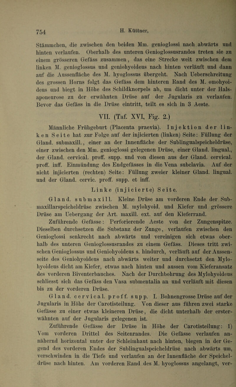 Stammchen, die zwischen den beiden Mm. genioglossi nach abwarts und liinten verlaufen. Oberhalb des unteren Genioglossusrandes treten sie zu einem grosseren Gefass zusammen, das eine Strecke weit zwischen dem linken M. genioglossus und geniohyoideus nach hinten verlauft und dann auf die Aussenflache des M. hyoglossus iibergeht. Nach Ueberschreitung des grossen Horns folgt das Gefass dem hinteren Rand des M. omohyoi- deus und biegt in Hohe des Schildknorpels ab, um dicht unter der Hals- aponenrose zu der erwalmten Driise auf der Jugularis zu verlaufen. Bevor das Gefass in die Driise eintritt, teilt es sich in 3 Aeste. VII. (Taf. XVI, Fig. 2.) Mannliche Friihgeburt (Placenta praevia). Injektion der lin¬ ken S e i t e hat zur Folge auf der injicierten (linken) Seite: Fiillung der Gland, submaxill., einer an der Innenflache der Sublingualspeicheldriise, einer zwischen den Mm. genioglossi gelegenen Driise, einer Gland, lingual., der Gland, cervical, proff. supp. und von diesen aus der Gland, cervical, proff. inff. Einmiindung des Endgefasses in die Vena subclavia. Auf der nicht injicierten (rechten) Seite: Fiillung zweier kleiner Gland, lingual, und der Gland, cervic. proff. supp. et inff. L i n k e (i n j i c i e r t e) Seite. Gland, submaxill. Kleine Driise am vorderen Ende der Sub- maxillarspeicheldriise zwischen M. mylohyoid, und Kiefer und grossere Driise am Uebergang der Art. maxill. ext. auf den Kieferrand. Zufiiiirende Gefasse: Perforierende Aeste von der Zungenspitze. Dieselben durchsetzen die Substanz der Zunge, verlaufen zwischen den Genioglossi senkrecht nach abwarts und vereinigen sich etwas ober¬ halb des unteren Genioglossusrandes zu einem Gefass. Dieses tritt zwi¬ schen Genioglossus und Geniohyoideus s. hindurch, verl'auft auf der Aussen- seite des Geniohyoideus nach abwarts weiter und durchsetzt den Mylo- hyoideus dicht am Kiefer, etwas nach hinten und aussen vom Kieferansatz des vorderen Biventerbauclies. Nach der Durclibohrung des Mylohyoideus schliesst sich das Gefass den Vasa submentalia an und verlauft mit diesen bis zu der vorderen Driise. Gland, cervical, proff. supp. I. Bohnengrosse Driise auf der Jugularis in Hohe der Carotisteilung. Von dieser aus fiihren zwei starke Gefasse zu einer etwas kleineren Driise, die dicht unterhalb der erster- wahnten auf der Jugularis gelegenen ist. Zufiihrende Gefasse der Driise in Hohe der Carotisteilung: 1) Vom vorderen Drittel des Seitenrandes. Die Gefasse verlaufen an- nahernd horizontal unter der Schleimhaut nach hinten, biegen in der Ge- gend des vorderen Endes der Sublingualspeicheldriise nach abwarts um, verschwinden in die Tiefe und verlaufen an der Innenflache der Speichel- driise nach hinten. Am vorderen Rand des M. hyoglossus angelangt, ver-