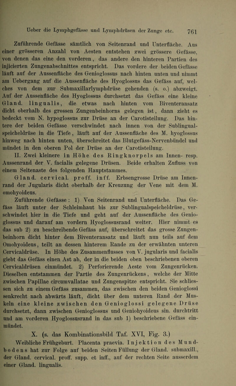 Zufiihrende Gefasse samtlich von Seitenrand nnd Unterflache. Aus einer grosseren Anzahl von Aesten entstehen zwei grossere Gefasse, von denen das eine den vorderen, das andere den hinteren Partien des injicierten Znngenabschnittes entspricht. Das vordere der beiden Gefasse lauft anf der Aussenflache des Genioglossns nach hinten unten und nimmt am Uebergang anf die Aussenflache des Hyoglossus das Gefass auf, wel¬ ches von dem zur Submaxillarlymphdriise gehenden (s. o.) abzweigt. Auf der Aussenflache des Hyoglossus durchsetzt das Gefass eine kleine Gland, lingualis, die etwas nach hinten vom Biventeransatz dicht oberhalb des grossen Zungenbeinhorns gelegen ist, dann zieht es bedeckt vom N. hypoglossus zur Driise an der Carotisteilung. Das hin- tere der beiden Gefasse verschwindet nach innen von der Sublingual- speicheldriise in die Tiefe, lauft auf der Aussenflache des M. hyoglossus liinweg nach hinten unten, iiberschreitet das Blutgefass-Nervenbiindel und miindet in den oberen Pol der Driise an der Carotisteilung. II. Zwei kleinere in Ho he des Ringknorpelsam Innen- resp. Aussenrand der V. facialis gelegene Driisen. Beide erhalten Zufluss von einem Seitenaste des folgenden Hauptstammes. Gland, cervical, proff. inff. Erbsengrosse Driise am Innen- rand der Jugularis dicht oberhalb der Kreuzung der Yene mit dem M. omohyoideus. Zufiihrende Gefasse : 1) Von Seitenrand und Unterflache. Das Ge¬ fass lauft unter der Schleimhaut bis zur Sublingualspeicheldriise, ver¬ schwindet hier in die Tiefe und geht auf der Aussenflache des Genio- glossus und darauf am vordern Hyoglossusrand weiter. Hier nimmt es das sub 2) zu beschreibende Gefass auf, iiberschreitet das grosse Zungen- beinhorn dicht hinter dem Biventeransatz und lauft nun teils auf dem Omohyoideus, teilt an dessen hinterem Rande zu der erwahnten unteren Cervicaldriise. In Hohe des Zusammenflusses von V. jugularis und facialis giebt das Gefass einen Ast ab, der in die beiden oben beschriebenen oberen Cervicaldriisen einmiindet. 2) Perforierende Aeste vom Zungenriicken. Dieselben entstammen der Partie des Zungenriickens, welche der Mitte zwischen Papillae circumvallatae und Zungenspitze entspricht. Sie schlies- sen sich zu einem Gefass zusammen, das zwischen den beiden Genioglossi senkrecht nach ab warts lauft, dicht iiber dem unteren Rand der Mus- keln eine kleine zwischen den Genioglossi gelegene Driise durchsetzt, dann zwischen Genioglossus und Geniohyoideus sin. durchtritt und am vorderen Hyoglossusrand in das sub 1) beschriebene Gefass ein¬ miindet. X. (s. das Kombinationsbild Taf. XVI, Fig. 3.) Weibliche Friihgeburt. Placenta praevia. I n j e k t i o n des Mund- bodens hat zur Folge auf beiden Seiten Fiillung der Gland, submaxill., der Gland, cervical, proff. supp. et inff., auf der rechten Seite ausserdem einer Gland, lingualis.