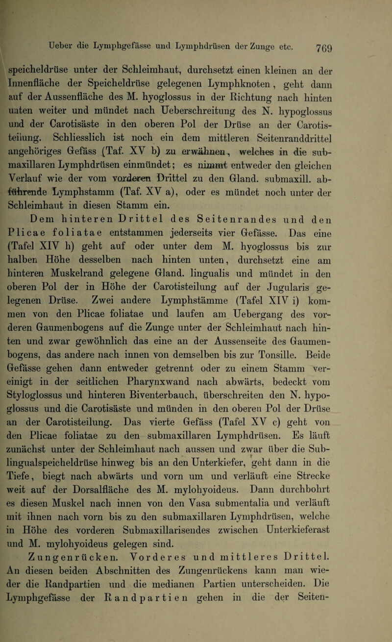speicheldruse unter der Schleimhaut, durchsetzt einen kleinen an der Innenflache der Speicheldriise gelegenen Lymphknoten, geht dann auf der Aussenflache des M. hyoglossus in der Richtung nacli hinten unten weiter und miindet nacli Ueberschreitung des N. hypoglossus und der Carotisaste in den oberen Pol der Druse an der Carotis- teiiung. Schliesslicli ist noch ein dem mittleren Seitenranddrittel angehoriges Gefass [Taf. XY b) zu erwahnen, welches in die sub¬ maxillaren Lymphdrusen einmiindet; es nimmt entweder den gleichen Verlauf wie der vom vorderen Drittel zu den Gland, submaxill. ab- fiiliTende Lymphstamm (Taf. XV a), oder es miindet noch unter der Schleimhaut in diesen Stamm ein. Dem hinteren Drittel des Seitenrandes und den Plicae foliatae entstammen jederseits vier Gefasse. Das eine (Tafel XIY h) geht auf oder unter dem M. hyoglossus bis zur halben Hohe desselben nach hinten unten, durchsetzt eine am hinteren Muskelrand gelegene Gland, lingualis und miindet in den oberen Pol der in Hohe der Carotisteilung auf der Jugularis ge¬ legenen Druse. Zwei andere Lymphstamme (Tafel XIY i) kom- men von den Plicae foliatae und laufen am Uebergang des vor¬ deren Gaumenbogens auf die Zunge unter der Schleimhaut nach hin¬ ten und zwar gewohnlich das eine an der Aussenseite des Gaumen¬ bogens, das andere nach innen von demselben bis zur Tonsille. Beide Gefasse gehen dann entweder getrennt oder zu einem Stamm ver- einigt in der seitlichen Pharynxwand nach abwarts, bedeckt vom Styloglossus und hinteren Biventerbauch, iiberschreiten den N. hypo¬ glossus und die Carotisaste und miinden in den oberen Pol der Driise an der Carotisteilung. Das vierte Gefass (Tafel XY c) geht von den Plicae foliatae zu den submaxillaren Lymphdriisen. Es lauft zunachst unter der Schleimhaut nach aussen und zwar Tiber die Sub- lingualspeicheldriise hinweg bis an den Unterkiefer, geht dann in die Tiefe, biegt nach abwarts und vorn um und verlauft eine Strecke weit auf der Dorsalflache des M. mylohyoideus. Dann durchbohrt es diesen Muskel nach innen von den Vasa submentalia und verlauft mit ihnen nach vorn bis zu den submaxillaren Lymphdriisen, welche in Hohe des vorderen Submaxillarisendes zwischen Unterkieferast und M. mylohyoideus gelegen sind. Zungenriicken. Vorderes und mittleres Drittel. An diesen beiden Abschnitten des Zungenriickens kann man wie- der die Randpartien und die medianen Partien unterscheiden. Die Lymphgefasse der Randpartien gehen in die der Seiten-