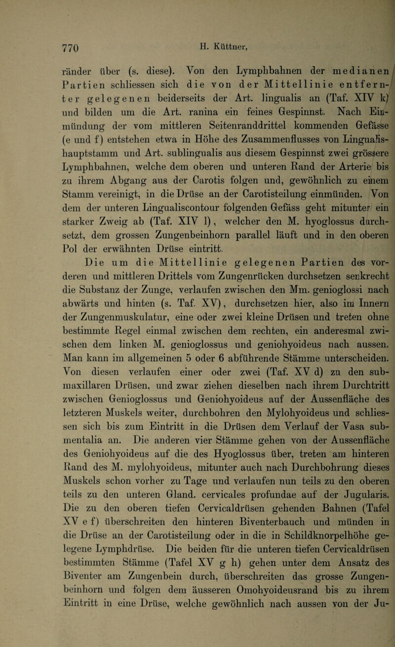 Hinder liber (s. diese). Yon den Lymphbahnen der medianen Partien schliessen sich die von der Mittellinie entfern- ter gelegenen beiderseits der Art. Kngualis an (Taf. XIV k) und bilden um die Art. ranina ein femes Gespinnst. Nach Ein- miindung der vom mittleren Seitenranddrittel kommenden Gefasse (e und f) entstehen etwa in Holie des Zusammenflusses von LinguaJis- hauptstamm und Art. sublingualis aus diesem Gespinnst zwei grossere Lymphbahnen, welche dem oberen und unteren Rand der Arterie bis zu ihrem Abgang aus der Carotis folgen und, gewohnlich zu einem Stamm vereinigt, in die Druse an der Carotisteilung einmunden. Yon dem der unteren Lingualiscontour folgenden Gefass geht mitunter ein starker Zweig ab (Taf. XIY 1), welcher den M. hyoglossus durch- setzt, dem grossen Zungenbeinhorn parallel lauft und in den oberen Pol der erwahnten Druse eintritt. Die um die Mittellinie gelegenen Partien des vor- deren und mittleren Drittels vom Zungenriicken durchsetzen senkrecht die Substanz der Zunge, verlaufen zwischen den Mm. genioglossi nach abwarts und hinten (s. Taf. XY), durchsetzen hier, also im Innern der Zungenmuskulatur, eine oder zwei kleine Driisen und treten ohne bestimmte Regel einmal zwischen dem rechten, ein anderesmal zwi¬ schen dem linken M. genioglossus und geniohyoideus nach aussen. Man kann im allgemeinen 5 oder 6 abfiihrende Stamme unterscheiden. Von diesen verlaufen einer oder zwei (Taf. XV d) zu den sub- maxillaren Driisen, und zwar ziehen dieselben nach ihrem Durchtritt zwischen Genioglossus und Geniohyoideus auf der Aussenflache des letzteren Muskels weiter, durchbohren den Mylohyoideus und schlies¬ sen sich bis zum Eintritt in die Driisen dem Yerlauf der Vasa sub- mentalia an. Die anderen vier Stamme gehen von der Aussenflache des Geniohyoideus auf die des Hyoglossus iiber, treten am hinteren Rand des M. mylohyoideus, mitunter auch nach Durchbohrung dieses Muskels schon vorher zu Tage und verlaufen nun teils zu den oberen teils zu den unteren Gland, cervicales profundae auf der Jugularis. Die zu den oberen tiefen Cervicaldriisen gehenden Bahnen (Tafel XY e f) iiberschreiten den hinteren Biventerbauch und miinden in die Druse an der Carotisteilung oder in die in Schildknorpelhohe ge- legene Lymphdriise. Die beiden fiir die unteren tiefen Cervicaldriisen bestimmten Stamme (Tafel XY g h) gehen unter dem Ansatz des Biventer am Zungenbein durch, iiberschreiten das grosse Zungen¬ beinhorn und folgen deni ausseren Omohyoideusrand bis zu ihrem Eintritt in eine Druse, welche gewohnlich nach aussen von der Ju-