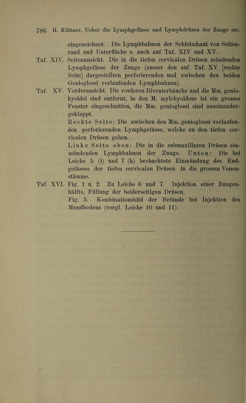 Taf. XV. eingezeichnet. Die Lymplibahnen der Schleimhaut von Seiten- rand und Unterhache s. aucli auf Taf. XIV und XV. Taf. XIV. Seitenansicht. Die in die tiefen cervicalen Driisen miindenden Lymphgefasse der Zunge (ausser den auf Taf. XV [rechte Seite] dargestellten perforierenden und zwisclien den beiden Genioglossi verlaufenden Lymplibahnen). Vorderansicht. Die vorderen Biventerbauehe und die Mm. genio- hyoidei sind entfernt, in den M. mylohyoideus ist ein grosses Fenster eingeschnitten, die Mm. genioglossi sind auseinander- geklappt. Rechte Seite: Die zwischen den Mm. genioglossi verlaufen¬ den perforierenden Lymphgefasse, welclie zu den tiefen cer¬ vicalen Driisen gelien. Linke Seite oben: Die in die submaxillaren Driisen ein- miindenden Lymplibahnen der Zunge. Unten: Die bei Leiche 5 (i) und 7 (k) beobachtete Einmiindung des End- gefasses der tiefen cervicalen Driisen in die grossen Venen- stamme. Taf. XVI. Fig. 1 u. 2. Zu Leiche 6 und 7. Injektion einer Zungen- halfte, Fiillung der beiderseitigen Driisen. Fig. 3. Kombinationsbild der Befunde bei Injektion des Mundbodens (vergl. Leiche 10 und 11).