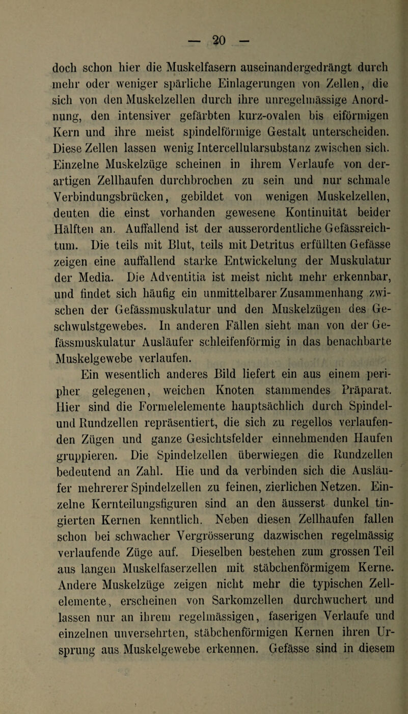 doch schon hier die Muskelfasern auseinandergedrängt durch mehr oder weniger spärliche Einlagerungen von Zellen, die sich von den Muskelzellen durch ihre unregelmässige Anord¬ nung, den intensiver gefärbten kurz-ovalen bis eiförmigen Kern und ihre meist spindelförmige Gestalt unterscheiden. Diese Zellen lassen wenig Intercellularsubstanz zwischen sich. Einzelne Muskelzüge scheinen in ihrem Verlaufe von der¬ artigen Zellhaufen durchbrochen zu sein und nur schmale Verbindungsbrücken, gebildet von wenigen *Muskelzellen, deuten die einst vorhanden gewesene Kontinuität beider Hälften an. Auffallend ist der ausserordentliche Gefässreich- tum. Die teils mit Blut, teils mit Detritus erfüllten Gefässe zeigen eine auffallend starke Entwickelung der Muskulatur der Media. Die Adventitia ist meist nicht mehr erkennbar, und findet sich häufig ein unmittelbarer Zusammenhang zwi¬ schen der Gefässmuskulatur und den Muskelzügen des Ge¬ schwulstgewebes. In anderen Fällen sieht man von der Ge¬ fässmuskulatur Ausläufer schleifenförmig in das benachbarte Muskelgewebe verlaufen. Ein wesentlich anderes Bild liefert ein aus einem peri¬ pher gelegenen, weichen Knoten stammendes Präparat. Hier sind die Formelelemente hauptsächlich durch Spindel¬ und Rundzellen repräsentiert, die sich zu regellos verlaufen¬ den Zügen und ganze Gesichtsfelder einnehmenden Haufen gruppieren. Die Spindelzellen überwiegen die Rundzellen bedeutend an Zahl. Hie und da verbinden sich die Ausläu¬ fer mehrerer Spindelzellen zu feinen, zierlichen Netzen. Ein¬ zelne Kernteilungsfiguren sind an den äusserst dunkel fin¬ gierten Kernen kenntlich. Neben diesen Zellhaufen fallen schon bei schwacher Vergrösserung dazwischen regelmässig verlaufende Züge auf. Dieselben bestehen zum grossen Teil aus langen Muskelfaserzellen mit stäbchenförmigem Kerne. Andere Muskelzüge zeigen nicht mehr die typischen Zell¬ elemente, erscheinen von Sarkomzellen durchwuchert und lassen nur an ihrem regelmässigen, faserigen Verlaufe und einzelnen unversehrten, stäbchenförmigen Kernen ihren Ur¬ sprung aus Muskelgewebe erkennen. Gefässe sind in diesem