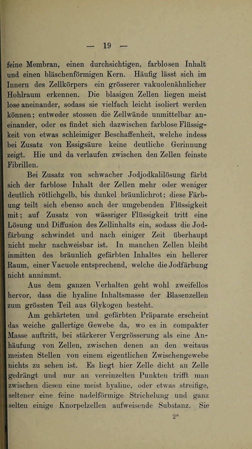 feine Membran, einen durchsichtigen, farblosen Inhalt und einen bläschenförmigen Kern. Häufig lässt sich im Innern des Zellkörpers ein grösserer vakuolenähnlicher Hohlraum erkennen. Die blasigen Zellen liegen meist lose aneinander, sodass sie vielfach leicht isoliert werden können; entweder stossen die Zellwände unmittelbar an¬ einander, oder es findet sich dazwischen farblose Flüssig¬ keit von etwas schleimiger Beschaffenheit, welche indess bei Zusatz von Essigsäure keine deutliche Gerinnung zeigt. Hie und da verlaufen zwischen den Zellen feinste Fibrillen. Bei Zusatz von schwacher Jodjodkalilösung färbt sich der farblose Inhalt der Zellen mehr oder weniger deutlich rötlichgelb, bis dunkel bräunlichrot; diese Färb¬ ung teilt sich ebenso auch der umgebenden Flüssigkeit mit; auf Zusatz von wässriger Flüssigkeit tritt eine Lösung und Diffusion des Zellinhalts ein, sodass die Jod¬ färbung schwindet und nach einiger Zeit überhaupt nicht mehr nachweisbar ist. In manchen Zellen bleibt inmitten des bräunlich gefärbten Inhaltes ein hellerer Raum, einer Vacuole entsprechend, welche die Jodfärbung nicht annimmt. Aus dem ganzen Verhalten geht wohl zweifellos hervor, dass die hyaline Inhaltsmasse der Blasenzellen zum grössten Teil aus Glykogen besteht. Am gehärteten und gefärbten Präparate erscheint das weiche gallertige Gewebe da, wo es in compakter Masse auftritt, bei stärkerer Vergrößerung als eine An¬ häufung von Zellen, zwischen denen an den weitaus meisten Stellen von einem eigentlichen Zwischengewebe nichts zu sehen ist. Es liegt hier Zelle dicht an Zelle gedrängt und nur an vereinzelten Punkten trifft man zwischen diesen eine meist hyaline, oder etwas streifige, [seltener eine feine nadelförmige Strichelung und ganz | selten einige Knorpelzellen aufweisende Substanz. Sie 2*