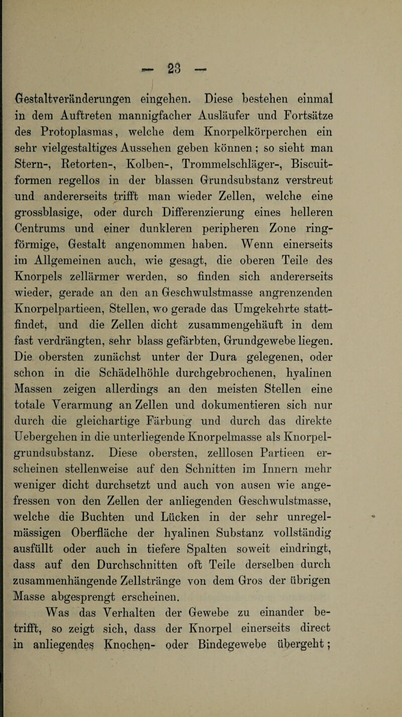 Gestaltveränderungen eingehen. Diese bestehen einmal in dem Auftreten mannigfacher Ausläufer und Fortsätze des Protoplasmas, welche dem Knorpelkörperchen ein sehr vielgestaltiges Aussehen geben können; so sieht man Stern-, Retorten-, Kolben-, Trommelschläger-, Biscuit- formen regellos in der blassen Grundsubstanz verstreut und andererseits trifft man wieder Zellen, welche eine grossblasige, oder durch Differenzierung eines helleren Centrums und einer dunkleren peripheren Zone ring¬ förmige, Gestalt angenommen haben. Wenn einerseits im Allgemeinen auch, wie gesagt, die oberen Teile des Knorpels zellärmer werden, so finden sich andererseits wieder, gerade an den an Geschwulstmasse angrenzenden Knorpelpartieen, Stellen, wo gerade das Umgekehrte statt¬ findet, und die Zellen dicht zusammengehäuft in dem fast verdrängten, sehr blass gefärbten, Grundgewebe liegen. Die obersten zunächst unter der Dura gelegenen, oder schon in die Schädelhöhle durchgebrochenen, hyalinen Massen zeigen allerdings an den meisten Stellen eine totale Verarmung an Zellen und dokumentieren sich nur durch die gleichartige Färbung und durch das direkte Uebergehen in die unterliegende Knorpelmasse als Knorpel¬ grundsubstanz. Diese obersten, zelllosen Partieen er¬ scheinen stellenweise auf den Schnitten im Innern mehr weniger dicht durchsetzt und auch von ausen wie ange¬ fressen von den Zellen der anliegenden Geschwulstmasse, welche die Buchten und Lücken in der sehr unregel¬ mässigen Oberfläche der hyalinen Substanz vollständig ausfüllt oder auch in tiefere Spalten soweit eindringt, dass auf den Durchschnitten oft Teile derselben durch zusammenhängende Zellstränge von dem Gros der übrigen Masse abgesprengt erscheinen. Was das Verhalten der Gewebe zu einander be¬ trifft, so zeigt sich, dass der Knorpel einerseits direct in anliegendes Knochen- oder Bindegewebe übergeht;