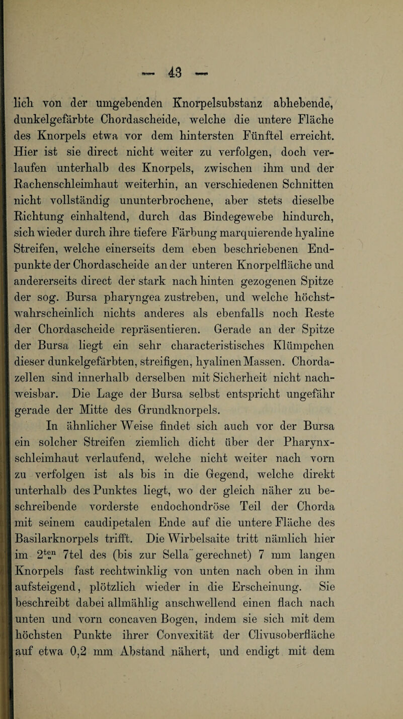 licli von der umgebenden Knorpelsubstanz abbebende, dunkelgefärbte Chordascheide, welche die untere Fläche des Knorpels etwa vor dem hintersten Fünftel erreicht. Hier ist sie direct nicht weiter zu verfolgen, doch ver¬ laufen unterhalb des Knorpels, zwischen ihm und der Rachenschleimhaut weiterhin, an verschiedenen Schnitten nicht vollständig ununterbrochene, aber stets dieselbe Richtung einhaltend, durch das Bindegewebe hindurch, sich wieder durch ihre tiefere Färbung marquierende hyaline Streifen, welche einerseits dem eben beschriebenen End¬ punkte der Chordascheide an der unteren Knorpelfläche und andererseits direct der stark nach hinten gezogenen Spitze der sog. Bursa pharyngea zustreben, und welche höchst¬ wahrscheinlich nichts anderes als ebenfalls noch Reste der Chordascheide repräsentieren. Gerade an der Spitze der Bursa liegt ein sehr characteristisches Klümpchen dieser dunkelgefärbten, streifigen, hyalinen Massen. Chorda¬ zellen sind innerhalb derselben mit Sicherheit nicht nach¬ weisbar. Die Lage der Bursa selbst entspricht ungefähr gerade der Mitte des Grundknorpels. In ähnlicher Weise findet sich auch vor der Bursa ein solcher Streifen ziemlich dicht über der Pharynx¬ schleimhaut verlaufend, welche nicht weiter nach vorn zu verfolgen ist als bis in die Gegend, welche direkt unterhalb des Punktes liegt, wo der gleich näher zu be¬ schreibende vorderste endochondröse Teil der Chorda mit seinem caudipetalen Ende auf die untere Fläche des Basilarknorpels trifft. Die Wirbelsaite tritt nämlich hier im 2t?,n 7tel des (bis zur Sella gerechnet) 7 mm langen Knorpels fast rechtwinklig von unten nach oben in ihm aufsteigend, plötzlich wieder in die Erscheinung. Sie beschreibt dabei allmählig anschwellend einen flach nach unten und vorn concaven Bogen, indem sie sich mit dem höchsten Punkte ihrer Convexität der ClivusOberfläche lauf etwa 0,2 mm Abstand nähert, und endigt mit dem