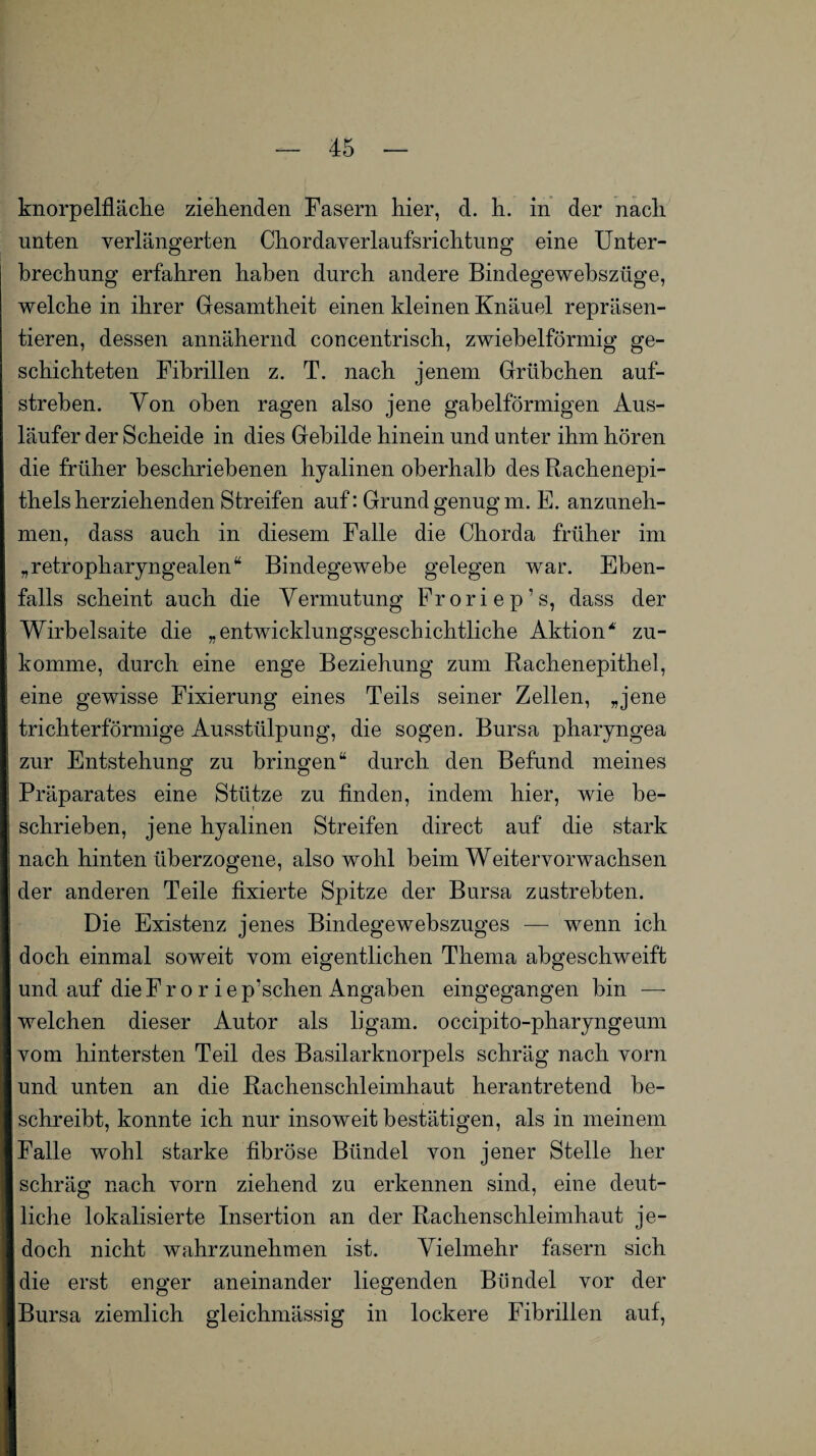 knorpelfläche ziehenden Fasern hier, d. h. in der nach unten verlängerten Chordaverlaufsrichtung eine Unter¬ brechung erfahren haben durch andere Bindegewebsziige, welche in ihrer Gesamtheit einen kleinen Knäuel repräsen¬ tieren, dessen annähernd coucentrisch, zwiebelförmig ge¬ schichteten Fibrillen z. T. nach jenem Grübchen auf¬ streben. Von oben ragen also jene gabelförmigen Aus¬ läufer der Scheide in dies Gebilde hinein und unter ihm hören die früher beschriebenen hyalinen oberhalb des Rachenepi¬ thels herziehenden Streifen auf: Grund genug m. E. anzuneh¬ men, dass auch in diesem Falle die Chorda früher im „retropharyngealen* Bindegewebe gelegen war. Eben¬ falls scheint auch die Vermutung Froriep’s, dass der Wirbelsaite die „entwicklungsgeschichtliche Aktion* zu¬ komme, durch eine enge Beziehung zum Rachenepithel, eine gewisse Fixierung eines Teils seiner Zellen, „jene trichterförmige Ausstülpung, die sogen. Bursa pharyngea zur Entstehung zu bringen“ durch den Befund meines Präparates eine Stütze zu finden, indem hier, wie be¬ schrieben, jene hyalinen Streifen direct auf die stark nach hinten überzogene, also wohl beim Weitervorwachsen der anderen Teile fixierte Spitze der Bursa zustrebten. Die Existenz jenes Bindegewebszuges —- wenn ich doch einmal soweit vom eigentlichen Thema abgeschweift und auf dieFro r iep’schen Angaben eingegangen bin — welchen dieser Autor als ligam. occipito-pharyngeum vom hintersten Teil des Basilarknorpels schräg nach vorn und unten an die Rachenschleimhaut herantretend be¬ schreibt, konnte ich nur insoweit bestätigen, als in meinem Falle wohl starke fibröse Bündel von jener Stelle her schräg nach vorn ziehend zu erkennen sind, eine deut¬ liche lokalisierte Insertion an der Rachenschleimhaut je¬ doch nicht wahrzunehmen ist. Vielmehr fasern sich die erst enger aneinander liegenden Bündel vor der Bursa ziemlich gleichmässig in lockere Fibrillen auf,