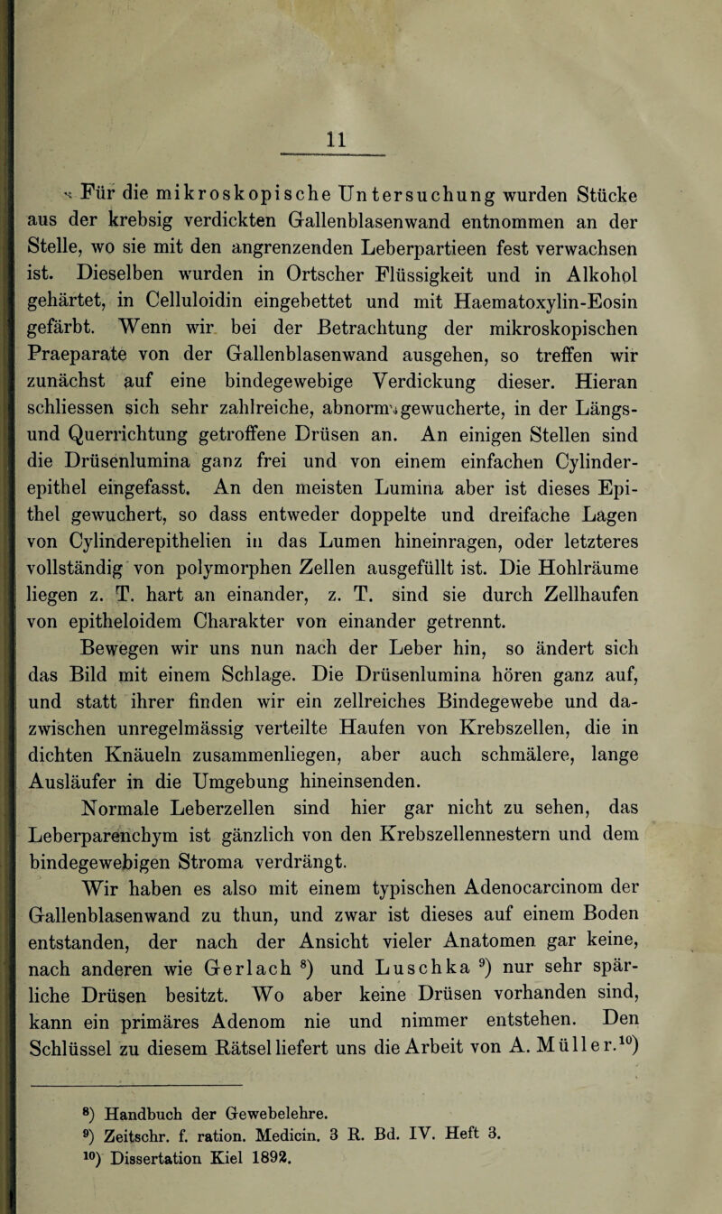 k Für die mikroskopische Untersuchung wurden Stücke aus der krebsig verdickten Gallenblasenwand entnommen an der Stelle, wo sie mit den angrenzenden Leberpartieen fest verwachsen ist. Dieselben wurden in Ortscher Flüssigkeit und in Alkohol gehärtet, in Celluloidin eingebettet und mit Haematoxylin-Eosin gefärbt. Wenn wir bei der Betrachtung der mikroskopischen Praeparate von der Gallenblasenwand ausgehen, so treffen wir zunächst auf eine bindegewebige Verdickung dieser. Hieran schliessen sich sehr zahlreiche, abnorme gewucherte, in der Längs¬ und Querrichtung getroffene Drüsen an. An einigen Stellen sind die Drüsenlumina ganz frei und von einem einfachen Cylinder- epithel eingefasst. An den meisten Lumina aber ist dieses Epi¬ thel gewuchert, so dass entweder doppelte und dreifache Lagen von Cylinderepithelien in das Lumen hineinragen, oder letzteres vollständig von polymorphen Zellen ausgefüllt ist. Die Hohlräume liegen z. T. hart an einander, z. T. sind sie durch Zellhaufen von epitheloidem Charakter von einander getrennt. Bewegen wir uns nun nach der Leber hin, so ändert sich das Bild mit einem Schlage. Die Drüsenlumina hören ganz auf, und statt ihrer finden wir ein zellreiches Bindegewebe und da¬ zwischen unregelmässig verteilte Haufen von Krebszellen, die in dichten Knäueln zusammenliegen, aber auch schmälere, lange Ausläufer in die Umgebung hineinsenden. Normale Leberzellen sind hier gar nicht zu sehen, das Leberparenchym ist gänzlich von den Krebszellennestern und dem bindegewebigen Stroma verdrängt. Wir haben es also mit einem typischen Adenocarcinom der Gallenblasenwand zu thun, und zwar ist dieses auf einem Boden entstanden, der nach der Ansicht vieler Anatomen gar keine, nach anderen wie Gerlach 8) und Luschka 9) nur sehr spär¬ liche Drüsen besitzt. Wo aber keine Drüsen vorhanden sind, kann ein primäres Adenom nie und nimmer entstehen. Den Schlüssel zu diesem Bätselliefert uns die Arbeit von A. Müller.10) 8) Handbuch der Gewebelehre. 9) Zeitschr. f. ration. Medicin. 3 R. Bd. IV. Heft 3. 10) Dissertation Kiel 1892.