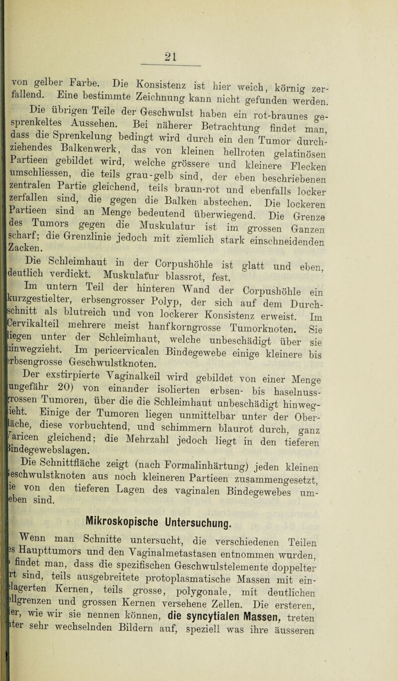 jon gelber Farbe.. Die Konsistenz ist hier weich, körnig zer¬ fallend. Eine bestimmte Zeichnung kann nicht gefunden werden. Die übrigen Teile der Geschwulst haben ein rot-braunes ge¬ sprenkeltes Aussehen. Bei näherer Betrachtung findet man, dass die Sprenkelung bedingt wird durch ein den Tumor durck- ]; zielendes Balkenwerk das von kleinen hellroten gelatinösen Partieen gebildet wird, welche grössere und kleinere Flecken 1 umschliessen, die teils grau-gelb sind, der eben beschriebenen I zentralen Partie gleichend, teils braun-rot und ebenfalls locker I zerfallen sind, die gegen die Balken abstechen. Die lockeren I Partieen sind an Menge bedeutend überwiegend. Die Grenze |dlS Jm0rn ge?en die Muskulatur ist ™ grossen Ganzen Isc arf; die Grenzlinie jedoch nnt ziemlich stark einschneidenden I Z/äCKGn. I Die Schleimhaut in der Corpushöhle ist glatt und eben, (deutlich verdickt. Muskulatur blassrot, fest. | Im untern Teil der hinteren Wand der Corpushöhle ein Ikurzgestielter, erbsengrosser Polyp, der sich auf dem Durch- jschnitt als blutreich und von lockerer Konsistenz erweist. Im lüervikalteil mehrere meist hanfkorngrosse Tmnorknoten. Sie liegen unter der Schleimhaut, welche unbeschädigt über sie ■unwegzieht. Im pericervicalen Bindegewebe einige kleinere bis pbsengrosse Geschwulstknoten. I Der exstirpierte Yaginalkeil wird gebildet von einer Menge ■ungefähr 20) von einander isolierten erbsen- bis haselnuss- |rossen Tumoren, über die die Schleimhaut unbeschädigt hinweg- | Pe Einige der Tumoren liegen unmittelbar unter der Ober- Ipche, diese vorbuchtend, und schimmern blaurot durch, o-anz .ancen gleichend; die Mehrzahl jedoch liegt in den tieferen hndegewebslagen. ] Die Schnittfläche zeigt (nach Formalinhärtung) jeden kleinen jreschwulstknoten aus noch kleineren Partieen zusammengesetzt, jie von den tieferen Lagen des vaginalen Bindegewebes um¬ eben sind. Mikroskopische Untersuchung. 1 Wenn man Schnitte untersucht, die verschiedenen Teilen ps Haupttumors und den Vaginalmetastasen entnommen wurden, \\ maib dass die spezifischen Geschwulstelemente doppelter IL; s*nc^ ausgebreitete protoplasmatische Massen mit ein- ■ Magerten Kernen, teils grosse, polygonale, mit deutlichen Begrenzen und grossen Kernen versehene Zellen. Die ersteren, |rr, wie Wir sie nennen können, die syncytialen Massen, treten ’M er sehi wechselnden Bildern auf, sjieziell was ihre äusseren