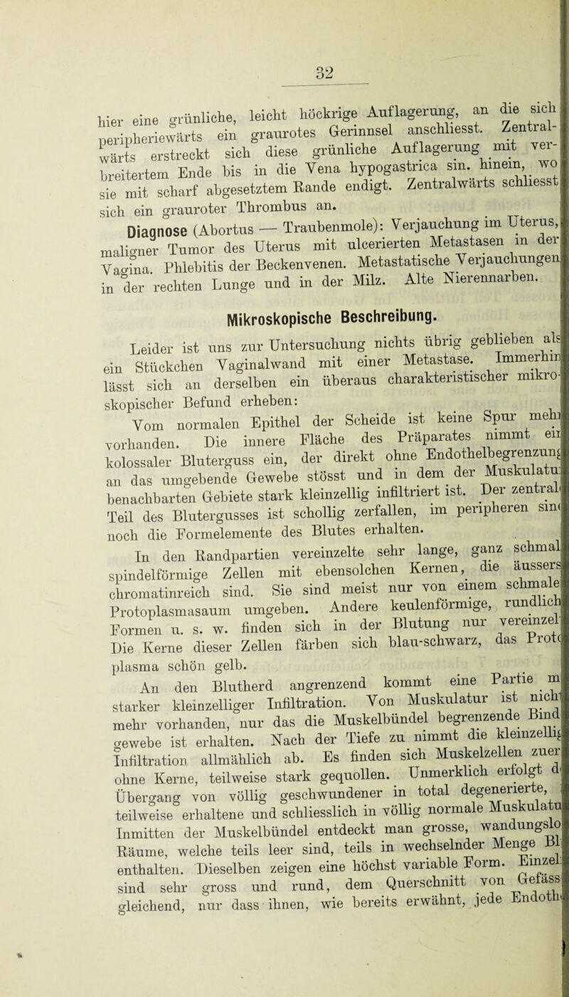 hier eine grünliche, leicht liöckrige Auflagerung, an die sich uerinheriewärts ein graurotes Gerinnsel anschliesst. Zential- wärts erstreckt sich diese grünliche Auflagerung mit Ter-. Litertem Ende bis in die Vena hypogastnca sin. hinein wo sie mit scharf abgesetztem Rande endigt. Zentralwarts schliess sich ein grauroter Thrombus an. Dsaqnose (Abortus — Traubenmole): Verjauchung im Uterus, maligner Tumor des Uterus mit ulcerierten Metastasen in der Vagina Phlebitis der Beckenvenen. Metastatische Verjauchungen in der 'rechten Lunge und in der Milz. Alte Nierennarben. Mikroskopische Beschreibung. Leider ist uns zur Untersuchung nichts übrig geblieben ah ein Stückchen Vaginalwand mit einer Metastase. Immerhin lässt sich an derselben ein überaus charakteristischer mikro¬ skopischer Befund erheben: Vom normalen Epithel der Scheide ist keine Spur meh vorhanden. Die innere Fläche des Präparates nimmt er kolossaler Bluterguss ein, der direkt ohne Endothelbegrenzun an das umgebende Gewebe stösst und in dem der Muskulatu benachbarten Gebiete stark kleinzellig infiltriert ist. Der zentral Teil des Blutergusses ist schollig zerfallen, im peripheren sm( noch die Formelemente des Blutes erhalten. In den Landpartien vereinzelte sehr lange, ganz schmal spindelförmige Zellen mit ebensolchen Kernen,, die aussers chromatinreich sind. Sie sind meist nur von einem sc ma Protoplasmasaum umgeben. Andere keulenförmige, run ic Formen u. s. w. finden sich in der Blutung nur veiemze Die Kerne dieser Zellen färben sich blau-schwarz, das Brote plasma schön gelb. An den Blutherd angrenzend kommt eine Partie m starker kleinzelliger Infiltration. Von Muskulatur ist nie mehr vorhanden, nur das die Muskelbündel begrenzende Bind Gewebe ist erhalten. Nach der Tiefe zu nimmt die kleinzellig Infiltration allmählich ab. Es finden sich Muskelzellen zuer ohne Kerne, teilweise stark gequollen. Unmerklick erfolgt Übergang von völlig geschwundener in total degenerier e teilweise erhaltene und schliesslich in völlig normale Muskulatu Inmitten der Muskelbündel entdeckt man grosse, wandungsio Räume, welche teils leer sind, teils in wechselnder Menge B enthalten. Dieselben zeigen eine höchst variable Form. ™ze sind sehr gross und rund, dem Querschnitt von e ass gleichend, nur dass ihnen, wie bereits erwähnt, jede Endotü O 7