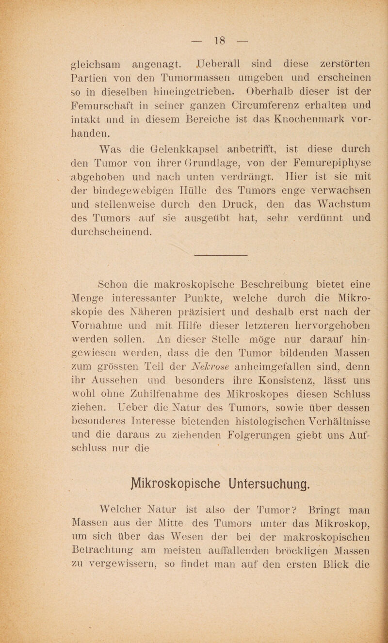 gleichsam angenagt. .Ueberall sind diese zerstörten Partien von den Tumormassen umgeben und erscheinen so in dieselben hineingetrieben. Oberhalb dieser ist der Femurschaft in seiner ganzen Circumferenz erhalten und intakt und in diesem Bereiche ist das Knochenmark vor¬ handen. Was die Gelenkkapsel anbetrifft, ist diese durch den Tumor von ihrer Grundlage, von der Femurepiphyse abgehoben und nach unten verdrängt. Hier ist sie mit der bindegewebigen Hülle des Tumors enge verwachsen und stellenweise durch den Druck, den das Wachstum des Tumors auf sie ausgeübt hat, sehr verdünnt und durchscheinend. Schon die makroskopische Beschreibung bietet eine Menge interessanter Punkte, welche durch die Mikro¬ skopie des Näheren präzisiert und deshalb erst nach der Vornahme und mit Hilfe dieser letzteren hervorgehoben werden sollen. An dieser Stelle möge nur darauf hin¬ gewiesen werden, dass die den Tumor bildenden Massen zum grössten Teil der Nekrose anheimgefallen sind, denn ihr Aussehen und besonders ihre Konsistenz, lässt uns wohl ohne Zuhilfenahme des Mikroskopes diesen Schluss ziehen. Ueber die Natur des Tumors, sowie über dessen besonderes Interesse bietenden histologischen Verhältnisse und die daraus zu ziehenden Folgerungen giebt uns Auf¬ schluss nur die Mikroskopische Untersuchung. Welcher Natur ist also der Tumor? Bringt man Massen aus der Mitte des Tumors unter das Mikroskop, um sich über das Wesen der bei der makroskopischen Betrachtung am meisten auffallenden bröckligen Massen zu vergewissern, so findet man auf den ersten Blick die