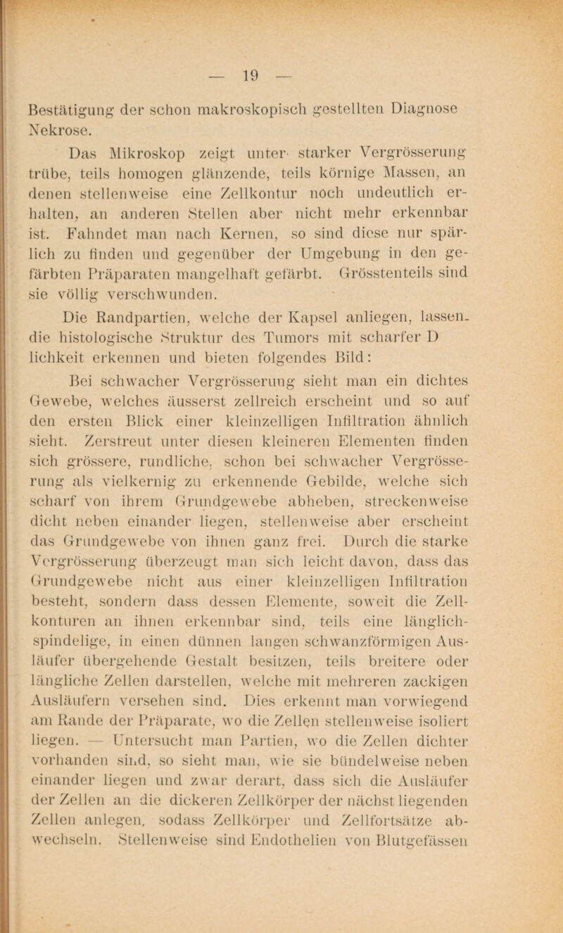 Bestätigung der schon makroskopisch gestellten Diagnose Nekrose. Das Mikroskop zeigt unter' starker Vergrösserung trübe, teils homogen glänzende, teils körnige Massen, an denen stellenweise eine Zellkontur noch undeutlich er¬ halten, an anderen Stellen aber nicht mehr erkennbar ist. Fahndet man nach Kernen, so sind diese nur spär¬ lich zu finden und gegenüber der Umgebung in den ge¬ färbten Präparaten mangelhaft gefärbt. Grösstenteils sind sie völlig verschwunden. Die Randpartien, welche der Kapsel anliegen, lassen, die histologische Struktur des Tumors mit scharfer D lichkeit erkennen und bieten folgendes Bild: Bei schwacher Vergrösserung sieht man ein dichtes Gewebe, welches äusserst zellreich erscheint und so auf den ersten Blick einer kleinzelligen Infiltration ähnlich sieht. Zerstreut unter diesen kleineren Elementen finden sich grössere, rundliche, schon bei schwacher Vergrösse¬ rung als vielkernig zu erkennende Gebilde, welche sich scharf von ihrem Grundgewebe abheben, streckenweise dicht neben einander liegen, stellenweise aber erscheint das Grundgewebe von ihnen ganz frei. Durch die starke Vergrösserung überzeugt man sich leicht davon, dass das Grundgewebe nicht aus einer kleinzelligen Infiltration besteht, sondern dass dessen Elemente, soweit die Zell¬ konturen an ihnen erkennbar sind, teils eine länglich- spindelige, in einen dünnen langen schwanzförmigen Aus¬ läufer übergehende Gestalt besitzen, teils breitere oder längliche Zellen darstellen, welche mit mehreren zackigen Ausläufern versehen sind. Dies erkennt man vorwiegend am Rande der Präparate, wo die Zeilen stellenweise isoliert liegen. — Untersucht man Partien, wo die Zellen dichter vorhanden sind, so sieht man, wie sie bündelweise neben einander liegen und zwar derart, dass sich die Ausläufer der Zellen an die dickeren Zellkörper der nächst liegenden Zellen anlegen, sodass Zellkörper und Zellfortsätze ab¬ wechseln. Stellenweise sind Endothelien von Blutgefässen