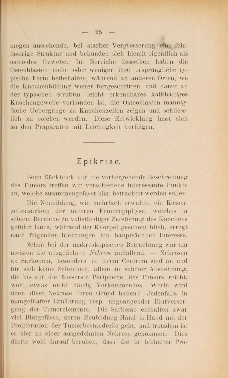 mögen aussehende, bei starker Vergrösscrung eine fein¬ faserige Struktur und bekunden sich hiemit eigentlich als osteoides Gewebe. Im Bereiche desselben haben die Osteoblasten mehr oder weniger ihre ursprüngliche ty¬ pische Form beibehalten, während an anderen Orten, wo die Knochenbildung weiter fortgeschritten und damit an der typischen Struktur leicht erkennbares kalkhaltiges Knochengewebe vorhanden ist, die Osteoblasten mannig¬ fache Uebergänge zu Knochenzellen zeigen und schliess¬ lich zu solchen werden. Diese Entwicklung lässt sich an den Präparaten mit Leichtigkeit verfolgen. E p i k r i s e. Beim Rückblick auf die vorhergehende Beschreibung des Tumors treffen wir verschiedene interessante Punkte an, welche zusammengefasst liier betrachtet werden sollen. Die Neubildung, wie mehrfach erwähnt, ein Riesen - zellensarkom der unteren Femurepiphyse, welches in seinem Bereiche zu vollständiger Zerstörung des Knochens geführt hatte, während der Knorpel geschont blieb, erregt nach folgenden Richtungen hin hauptsächlich Interesse. Schon bei der makroskopischen Betrachtung war am meisten die ausgedehnte Nekrose auffallend. — Nekrosen an Sarkomen, besonders in ihrem Centrum sind an und für sich keine Seltenheit, allein in solcher Ausdehnung, die bis auf die äusserstc Peripherie des Tumors reicht, wohl etwas nicht häufig Vorkommendes. Worin wird denn diese Nekrose ihren Grund haben? Jedenfalls in mangelhafter Ernährung resp. ungenügender Blutversor¬ gung der Tumorelemente. Die Sarkome enthalten zwar viel Blutgefässe, deren Neubildung Hand in Hand mit der Proliferation der Tumorbestandteile geht, und trotzdem ist es hier zu einer ausgedehnten Nekrose gekommen. Dies dürfte wohl darauf beruhen, dass die in lebhafter Pro-