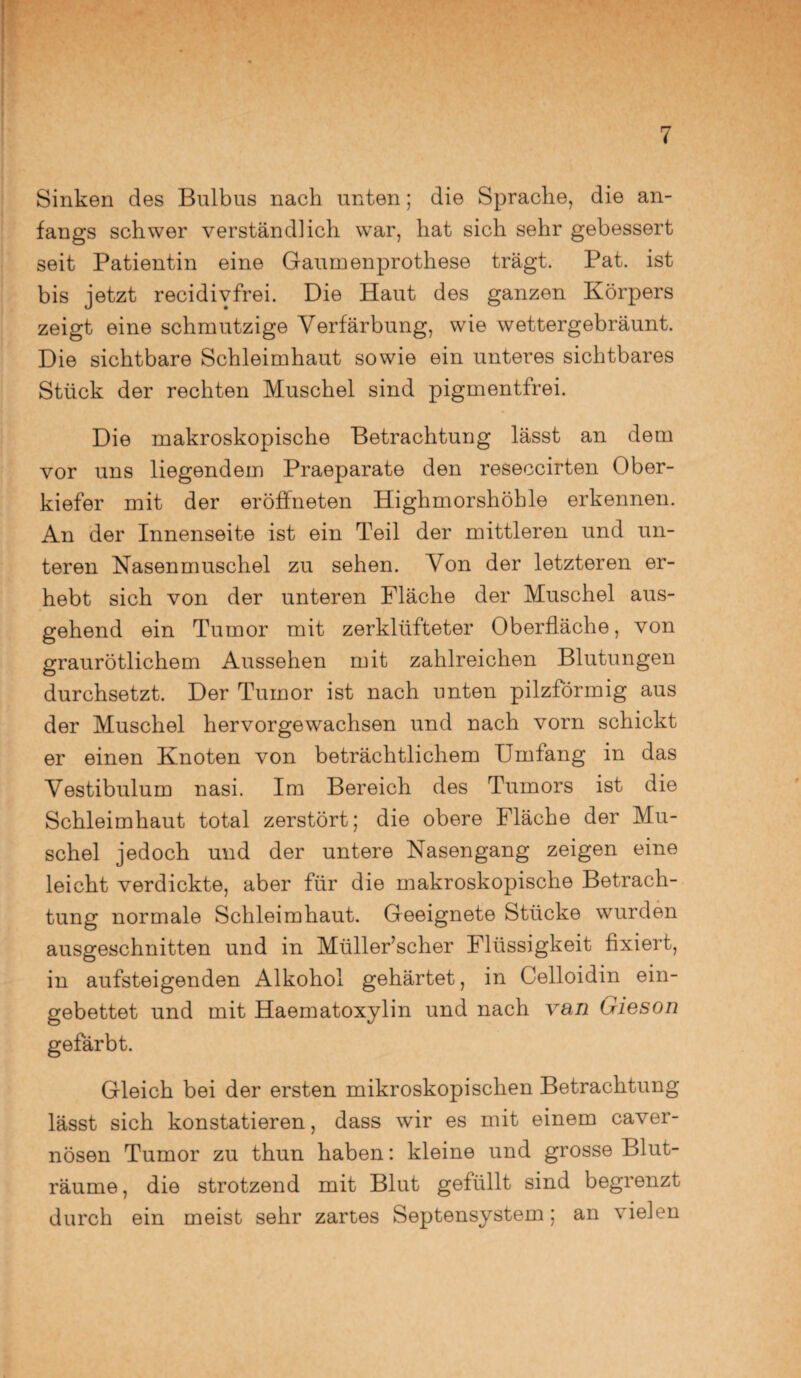 Sinken des Bulbus nach unten; die Sprache, die an¬ fangs schwer verständlich war, hat sich sehr gebessert seit Patientin eine Gaumenprothese trägt. Pat. ist bis jetzt recidivfrei. Die Haut des ganzen Körpers zeigt eine schmutzige Verfärbung, wie wettergebräunt. Die sichtbare Schleimhaut sowie ein unteres sichtbares Stück der rechten Muschel sind pigmentfrei. Die makroskopische Betrachtung lässt an dem vor uns liegendem Praeparate den reseccirten Ober¬ kiefer mit der eröffneten Highmorshöhle erkennen. An der Innenseite ist ein Teil der mittleren und un¬ teren Nasenmuschel zu sehen. Von der letzteren er¬ hebt sich von der unteren Fläche der Muschel aus¬ gehend ein Tumor mit zerklüfteter Oberfläche, von graurötlichem Aussehen mit zahlreichen Blutungen durchsetzt. Der Tumor ist nach unten pilzförmig aus der Muschel hervorgewachsen und nach vorn schickt er einen Knoten von beträchtlichem Umfang in das Vestibulum nasi. Im Bereich des Tumors ist die Schleimhaut total zerstört; die obere Fläche der Mu¬ schel jedoch und der untere Nasengang zeigen eine leicht verdickte, aber für die makroskopische Betrach¬ tung normale Schleimhaut. Geeignete Stücke wurden ausgeschnitten und in Müller’scher Flüssigkeit fixiert, in aufsteigenden Alkohol gehärtet, in Celloidin ein¬ gebettet und mit Haematoxylin und nach van Gieson gefärbt. Gleich bei der ersten mikroskopischen Betrachtung lässt sich konstatieren, dass wir es mit einem caver- nösen Tumor zu thun haben: kleine und grosse Blut¬ räume, die strotzend mit Blut gefüllt sind begrenzt durch ein meist sehr zartes Septensystem; an vielen