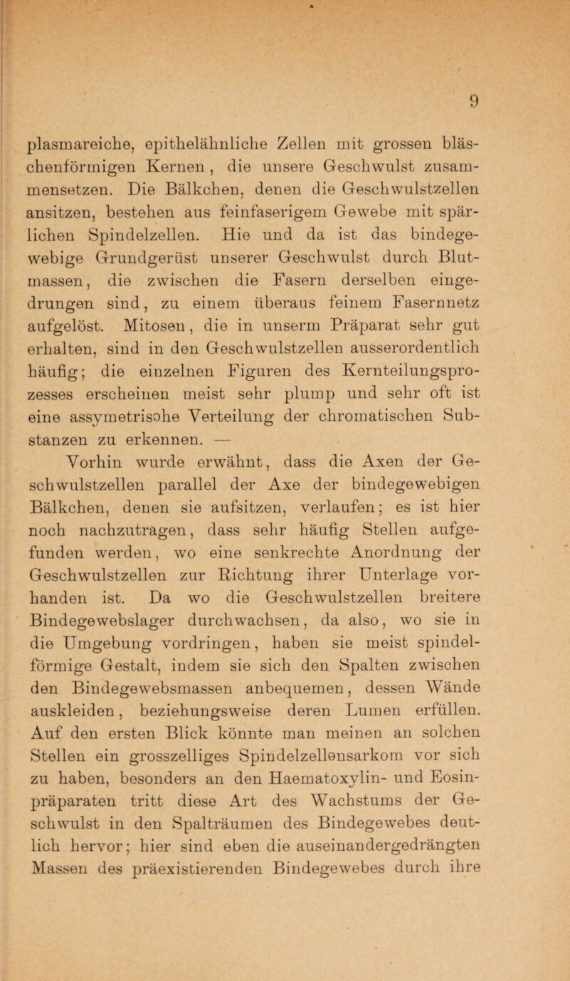 plasmareiche, epithelähnliche Zellen mit grossen bläs¬ chenförmigen Kernen , die unsere Geschwulst zusam¬ mensetzen. Die Bälkchen, denen die Geschwulstzellen ansitzen, bestehen aus feinfaserigem Gewebe mit spär¬ lichen Spindelzellen. Hie und da ist das bindege¬ webige Grundgerüst unserer Geschwulst durch Blut¬ massen, die zwischen die Fasern derselben einge¬ drungen sind, zu einem überaus feinem Fasernnetz aufgelöst. Mitosen, die in unserm Präparat sehr gut erhalten, sind in den Geschwulstzellen ausserordentlich häufig; die einzelnen Figuren des Kernteilungspro¬ zesses erscheinen meist sehr plump und sehr oft ist eine assymetrisohe Verteilung der chromatischen Sub¬ stanzen zu erkennen. — Vorhin wurde erwähnt, dass die Axen der Ge¬ schwulstzellen parallel der Axe der bindegewebigen Bälkchen, denen sie aufsitzen, verlaufen; es ist hier noch nachzutragen, dass sehr häufig Stellen aufge¬ funden werden, wo eine senkrechte Anordnung der Geschwulstzellen zur Richtung ihrer Unterlage vor¬ handen ist. Da wo die Geschwulstzellen breitere Bindegewebslager durchwachsen, da also, wo sie in die Umgebung Vordringen, haben sie meist sjnndel- förmige Gestalt, indem sie sich den Spalten zwischen den Bindegewebsmassen anbequemen, dessen Wände auskleiden, beziehungsweise deren Lumen erfüllen. Auf den ersten Blick könnte man meinen an solchen Stellen ein grosszelliges Spindelzellensarkom vor sich zu haben, besonders an den Haematoxylin- und Eosin- präparaten tritt diese Art des Wachstums der Ge¬ schwulst in den Spalträumen des Bindegewebes deut¬ lich hervor; hier sind eben die auseinandergedrängten Massen des präexistierenden Bindegewebes durch ihre