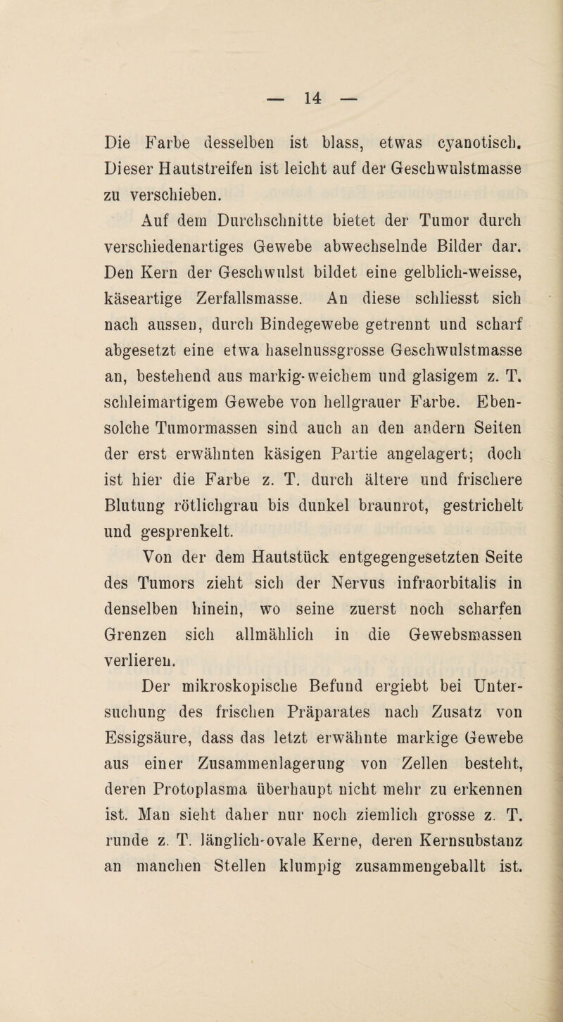 Die Farbe desselben ist blass, etwas cyanotiscb. Dieser Hautstreifen ist leicht auf der Geschwulstmasse zu verschieben. Auf dem Durchschnitte bietet der Tumor durch verschiedenartiges Gewebe abwechselnde Bilder dar. Den Kern der Geschwulst bildet eine gelblich-weisse, käseartige Zerfallsmasse. An diese schliesst sich nach aussen, durch Bindegewebe getrennt und scharf abgesetzt eine etwa haselnussgrosse Geschwulstmasse an, bestehend aus markig* weichem und glasigem z. T. schleimartigem Gewebe von hellgrauer Farbe. Eben¬ solche Tumormassen sind auch an den andern Seiten der erst erwähnten käsigen Partie angelagert; doch ist hier die Farbe z. T. durch ältere und frischere Blutung rötlichgrau bis dunkel braunrot, gestrichelt und gesprenkelt. Von der dem Hautstück entgegengesetzten Seite des Tumors zieht sich der Nervus infraorbitalis in denselben hinein, wo seine zuerst noch scharfen Grenzen sich allmählich in die Gewebsmassen verlieren. Der mikroskopische Befund ergiebt bei Unter¬ suchung des frischen Präparates nach Zusatz von Essigsäure, dass das letzt erwähnte markige Gewebe aus einer Zusammenlagerung von Zellen besteht, deren Protoplasma überhaupt nicht mehr zu erkennen ist. Man sieht daher nur noch ziemlich grosse z. T. runde z. T. länglicKovale Kerne, deren Kernsubstanz an manchen Stellen klumpig zusammengeballt ist.