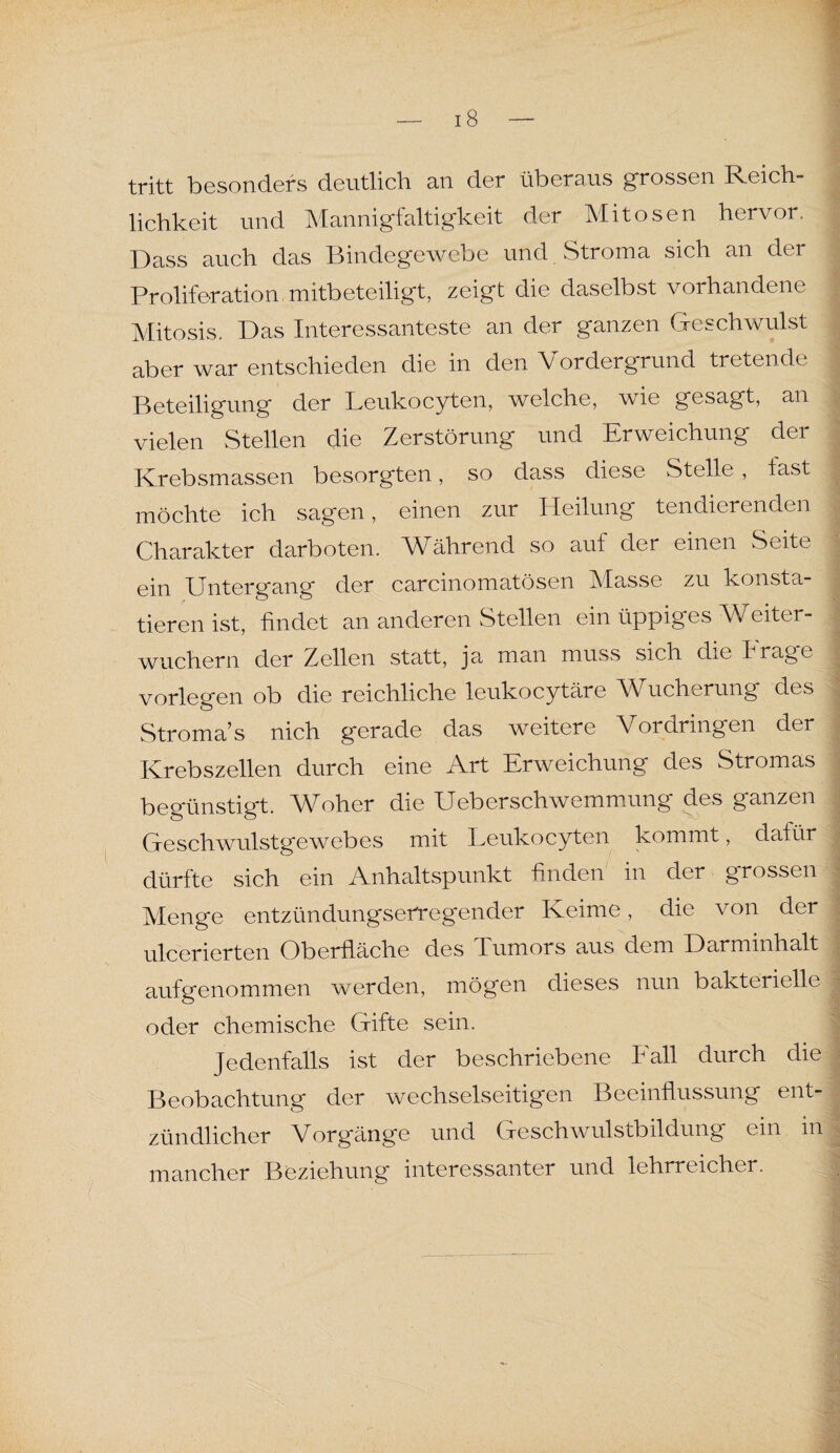 tritt besonders deutlich an der überaus grossen Reich¬ lichkeit und Mannigfaltigkeit der Mitosen hervor. Dass auch das Bindegewebe und Stroma sich an der Proliferation mitbeteiligt, zeigt die daselbst vorhandene Mitosis. Das Interessanteste an der ganzen Geschwulst aber war entschieden die in den Vordergrund tretende Beteiligung der Leukocyten, welche, wie gesagt, an vielen Stellen die Zerstörung und Erweichung der Krebsmassen besorgten, so dass diese Stelle , last möchte ich sagen, einen zur Heilung tendierenden Charakter darboten. Während so aut der einen Seite ein Untergang der carcinomatösen Masse zu konsta¬ tieren ist, findet an anderen Stellen ein üppiges Weiter¬ wuchern der Zellen statt, ja man muss sich die I rage vorlegen ob die reichliche leukocytäre Wucherung des Stroma’s nich gerade das weitere Vordringen der Krebszellen durch eine Art Erweichung des Stromas begünstigt. Woher die Ueberschwemmung des ganzen Geschwulstgewebes mit Leukocyten kommt, dafür dürfte sich ein Anhaltspunkt finden in der grossen Menge entzündungserregender Keime, die von der ulcerierten Oberfläche des Tumors aus dem Darminhalt aufgenommen werden, mögen dieses nun bakterielle oder chemische Gifte sein. Jedenfalls ist der beschriebene Fall durch die Beobachtung der wechselseitigen Beeinflussung ent¬ zündlicher Vorgänge und Geschwulstbildung ein in mancher Beziehung interessanter und lehrreicher.