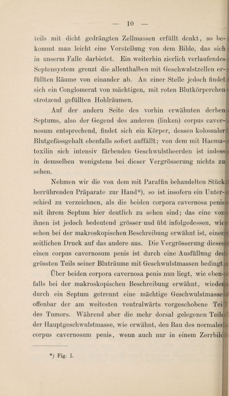 teils mit dicht gedrängten Zellmassen erfüllt denkt, so be- > kommt man leicht eine Vorstellung von dem Bilde, das sich jj in unserm Falle darbietet. Ein weiterhin zierlich verlaufendes > Septensystem grenzt die allenthalben mit Geschwulstzellen er- & füllten Räume von einander ab. An einer Stelle jedoch findet «1 sich ein Conglomerat von mächtigen, mit roten Blutkörperchen i strotzend gefüllten Hohlräumen. Auf der andern Seite des vorhin erwähnten derben; Septums, also der Gegend des anderen (linken) corpus caver-o nosum entsprechend, findet sich ein Körper, dessen kolossaler | Blutgefässgehalt ebenfalls sofort auffallt; von dem mit Haema-b toxilin sich intensiv färbenden Gesellwulstheerden ist indessen in demselben wenigstens bei dieser Vergrösserung nichts zu: sehen. Nehmen wir die von dem mit Paraffin behandelten Stück i herrührenden Präparate zur Hand*), so ist insofern ein Unter-fei schied zu verzeichnen, als die beiden corpora cavernosa penisit mit ihrem Septum hier deutlich zu sehen sind; das eine von/ ihnen ist jedoch bedeutend grösser und übt infolgedessen, wie?/ schon bei der makroskopischen Beschreibung erwähnt ist, einend seitlichen Druck auf das andere aus. Die Vergrösserung diesem einen corpus cavernosum penis ist durch eine Ausfüllung des!) grössten Teils seiner Bluträume mit Geschwulstmassen bedingt in Über beiden corpora cavernosa penis nun liegt, wie eben¬ falls bei der makroskopischen Beschreibung erwähnt, wieder-: durch ein Septum getrennt eine mächtige Geschwulstmasse m offenbar der am weitesten ventralwärts vorgeschobene TeilF des Tumors. Während aber die mehr dorsal gelegenen Teile) der Hauptgeschwulstmasse, wie erwähnt, den Bau des normaler) e corpus cavernosum penis, wenn auch nur in einem Zerrbild