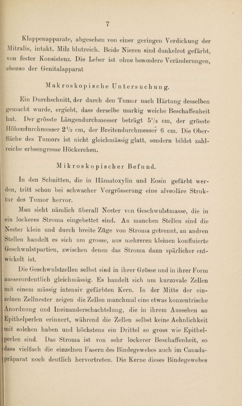 Klappenapparate, abgesehen von einer geringen Verdickung der o o o Mitralis, intakt. Milz blutreich. Beide Nieren sind dunkelrot gefärbt \ on festei Konsistenz. Die Leber ist ohne besondere Veränderungen, ebenso der Genitalapparat M akroskopische Untersuchun g. Kill Durchschnitt, der durch den Tumor nach Härtung desselben gemacht wurde, ergiebt, dass derselbe markig weiche Beschaffenheit hat. Der grösste Längendurchmesser beträgt 51 /a cm, der grösste Höhendurchmesser 2lk cm, der Breitendurchmesser 6 cm. Die Ober¬ fläche des Tumors ist nicht gleichmässig glatt, sondern bildet zahl¬ reiche erbsengrosse Höckerchen. Mikroskopischer Befund. In den Schnitten, die in Hämatoxylin und Eosin gefärbt wer¬ den, tritt schon bei schwacher Vergrösserung eine alveoläre Struk¬ tur des Tumor hervor. Man sieht nämlich überall Nester von Geschwulstmasse, die in ein lockeres Stroma eingebettet sind. An manchen Stellen sind die Nester klein und durch breite Züge von Stroma getrennt, an andren j Stellen handelt es sich um grosse, ans mehreren kleinen konfluierte - Geschwulstpartien, zwischen denen das Stroma dann spärlicher ent- j wickelt ist. Die Geschwulstzellen selbst sind in ihrer Grösse und in ihrer Form ausserordentlich gleichmässig. Es handelt sich um kurzovale Zellen mit einem mässig intensiv gefärbten Kern. In der Mitte der ein¬ zelnen Zellnester zeigen die Zellen manchmal eine etwas konzentrische Anordnung und Ineinanderschachtelung, die in ihrem iVussehen an Epithelperlen erinnert, während die Zellen selbst keine Aehnlichkeit mit solchen haben und höchstens ein Drittel so gross wie Epithel¬ perlen sind. Das Stroma ist von sehr lockerer Beschaffenheit, so dass vielfach die einzelnen Fasern des Bindegewebes auch im Canada- präparat noch deutlich hervortreten. Die Kerne dieses Bindegewebes
