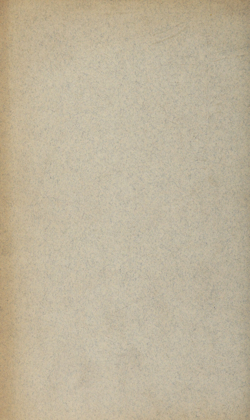 fe-Vv. ■ ; ■ - V . //• ■ -V ; : V- Hi . .. ;• >' ' y - (■ ^ ' •> * r;- ' '• ■' r , l-1 , ' • ■ ■ ■■ ■ : V ■ . X . / : ■ / ■ ’: / ; 1 ... ■ •. 4 . ' :>.r . $ r H ;i...v ■■■') . v; - ■< ' - v v, , ; : --V' •’ . . -V '■ ■ .. O'. .;i\v ; . .. ,'^.v • F-.i s.’-V ~.<f • • ; .-?* -f 1 ,x*vi**v • ? . • fv , ZFTt:,A ■/ |■' ■ ; . ; ' ■ m \ • . , . ‘ ~ ' . • ‘ V - . ■ . : ' - ' 4 1 y, .. . ;■ ■; ^ n ' : - ; ■ , I