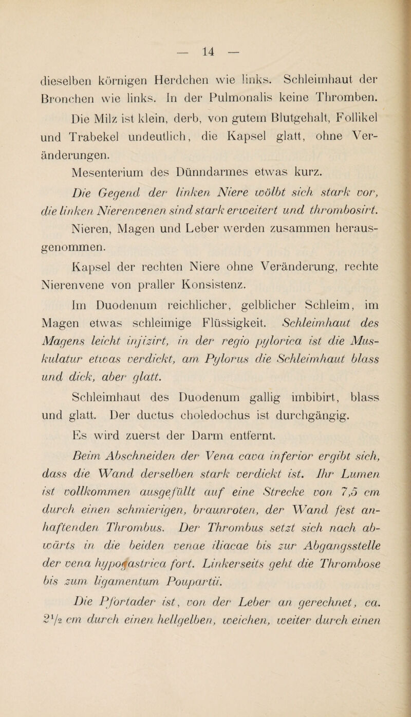 dieselben körnigen Herdchen wie links. Schleimhaut der Bronchen wie links. In der Pulmonalis keine Thromben. Die Milz ist klein, derb, von gutem Blutgehalt, Follikel und Trabekel undeutlich, die Kapsel glatt, ohne Ver¬ änderungen. Mesenterium des Dünndarmes etwas kurz. Die Gegend der linken Niere wölbt sich stark vor, die linken Nierenvenen sind stark erweitert und thrombosirt. Nieren, Magen und Leber werden zusammen heraus¬ genommen. Kapsel der rechten Niere ohne Veränderung, rechte Nierenvene von praller Konsistenz. Im Duodenum reichlicher, gelblicher Schleim, im Magen etwas schleimige Flüssigkeit. Schleimhaut des Magens leicht injizirt, in der regio pylorica ist die Mus¬ kulatur etwas verdickt, am. Pylorus die Schleimhaut blass und dick, aber glatt. Schleimhaut des Duodenum gallig imbibirt, blass und glatt. Der ductus choledoehus ist durchgängig. Es wird zuerst der Darm entfernt. Beim Abschneiden der Vena, cava inferior ergibt sich, dass die Wand derselben stark verdickt ist. Ihr Lumen ist vollkommen ausgefüllt auf eine Strecke von 7,5 cm durch einen schmierigen, braunroten, der Wand fest an¬ haftenden Thrombus. Der Thrombus setzt sich nach ab¬ wärts in die beiden venae iliacae bis zur Abgangsstelle der vena hypogastrica fort. Linkerseits geht die Thrombose bis zum ligamentum Poupartii. Die Pfortader ist, von der Leber an gerechnet, ca. 2lf cm durch einen hellgelben, weichen, weiter durch einen