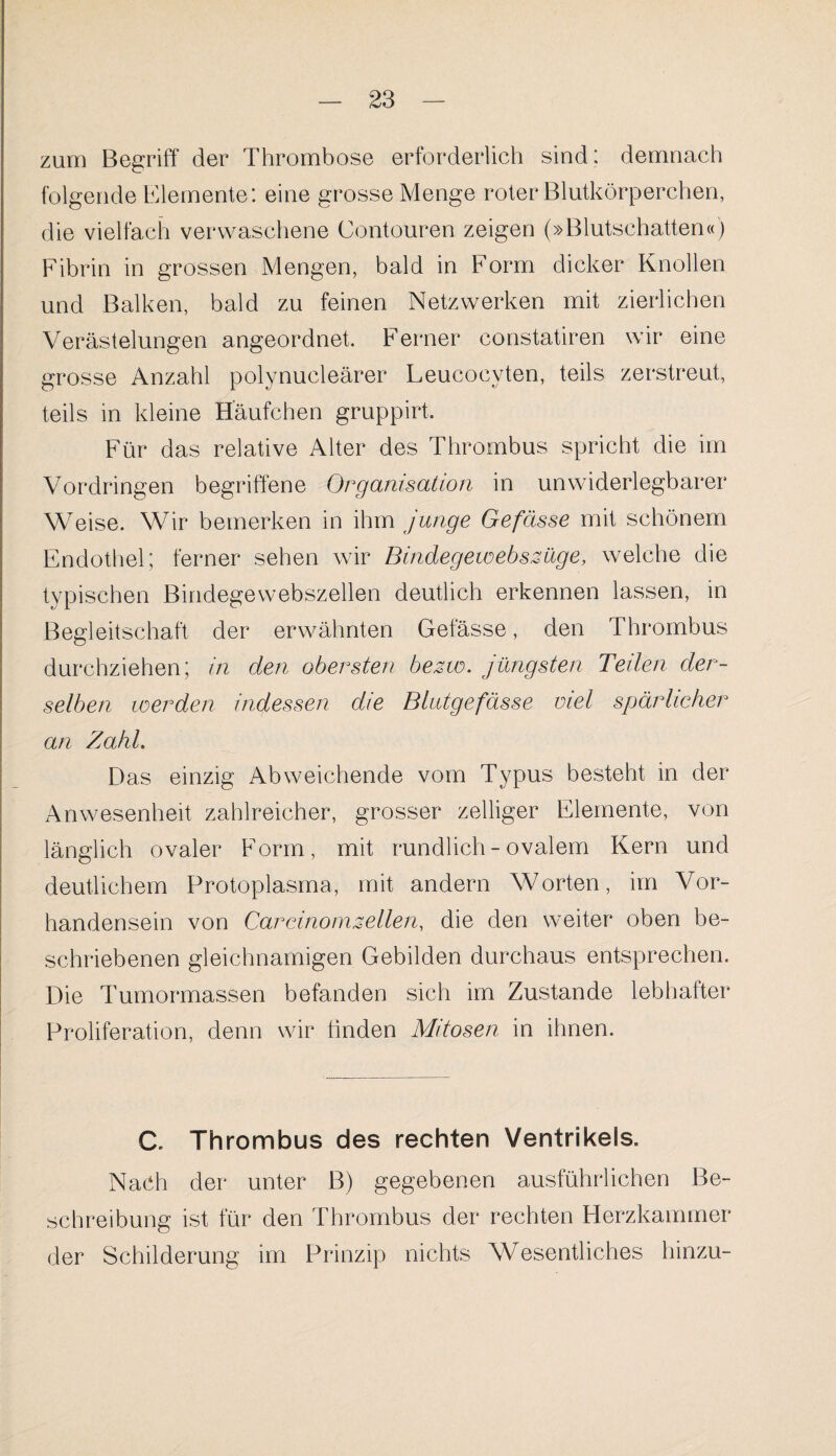 zum Begriff der Thrombose erforderlich sind: demnach folgende Elemente: eine grosse Menge roter Blutkörperchen, die vielfach verwaschene Contouren zeigen (»Blutschatten«) Fibrin in grossen Mengen, bald in Form dicker Knollen und Balken, bald zu feinen Netzwerken mit zierlichen Verästelungen angeordnet. Ferner constatiren wir eine grosse Anzahl polynucleärer Leucoevten, teils zerstreut, teils in kleine Häufchen gruppirt. Für das relative Alter des Thrombus spricht die im Vordringen begriffene Organisation in unwiderlegbarer Weise. Wir bemerken in ihm junge Gefässe mit schönem Endothel; ferner sehen wir Bindegewebs Züge, welche die typischen Bindegewebszellen deutlich erkennen lassen, in Begleitschaft der erwähnten Gefässe, den Thrombus durchziehen; in den obersten bezw. jüngsten Teilen der¬ selben werden indessen die Blutgefässe viel spärlicher an Zahl, Das einzig Abweichende vom Typus besteht in der Anwesenheit zahlreicher, grosser zelliger Elemente, von länglich ovaler Form, mit rundlich - ovalem Kern und deutlichem Protoplasma, mit andern Worten, im Vor¬ handensein von Carcinornzellen, die den weiter oben be¬ schriebenen gleichnamigen Gebilden durchaus entsprechen. Die Tumormassen befanden sich im Zustande lebhafter Proliferation, denn wir finden Mitosen in ihnen. C. Thrombus des rechten Ventrikels. Nach der unter B) gegebenen ausführlichen Be¬ schreibung ist für den Thrombus der rechten Herzkammer der Schilderung im Prinzip nichts Wesentliches hinzu-