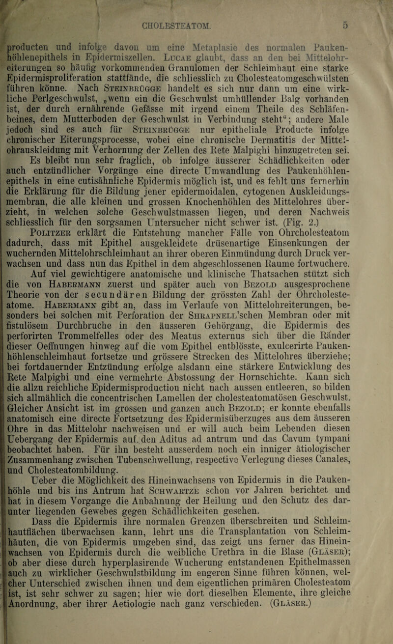 producten und infolge davon um eine Metaplasie des normalen Pauken¬ höhlenepithels in Epidermiszellen. Lucae glaubt, dass an den bei Mittelohr¬ eiterungen so häutig vorkommenden Granulomen der Schleimhaut eine starke Epidermisproliferation stattfände, die schliesslich zu Cholesteatomgeschwülsten führen könne. Nach Steinbrügge handelt es sich nur dann um eine wirk¬ liche Perlgeschwulst, „wenn ein die Geschwulst umhüllender Balg vorhanden ist, der durch ernährende Gefässe mit irgend einem Theile des Schläfen¬ beines, dem Mutterboden der Geschwulst in Verbindung steht“; andere Male jedoch sind es auch für Steinbrügge nur epitheliale Producte infolge chronischer Eiterungsprocesse, wobei eine chronische Dermatitis der Mittel¬ ohrauskleidung mit Verhornung der Zellen des Rete Malpighi hinzugetreten sei. Es bleibt nun sehr fraglich, ob infolge äusserer Schädlichkeiten oder auch entzündlicher Vorgänge eine directe Umwandlung des Paukenhöhlen¬ epithels in eine cutisähnliche Epidermis möglich ist, und es fehlt uns fernerhin die Erklärung für die Bildung jener epidermoidalen, cytogenen Auskleidungs¬ membran, die alle kleinen und grossen Knochenhöhlen des Mittelohres über¬ zieht, in welchen solche Geschwulstmassen liegen, und deren Nachweis schliesslich für den sorgsamen Untersucher nicht schwer ist. (Fig. 2.) Politzer erklärt die Entstehung mancher Fälle von Ohrcholesteatom dadurch, dass mit Epithel ausgekleidete drüsenartige Einsenkungen der wuchernden Mittelohrschleimhaut an ihrer oberen Einmündung durch Druck ver¬ wachsen und dass nun das Epithel in dem abgeschlossenen Raume fortwuchere. Auf viel gewichtigere anatomische und klinische Thatsachen stützt sich die von Habermann zuerst und später auch von Bezold ausgesprochene Theorie von der secundären Bildung der grössten Zahl der Ohrcholeste¬ atome. Habermann gibt an, dass im Verlaufe von Mittelohreiterungen, be¬ sonders bei solchen mit Perforation der SHRAPNELL’schen Membran oder mit fistulösem Durchbruche in den äusseren Gehörgang, die Epidermis des perforirten Trommelfelles oder des Meatus externus sich über die Ränder dieser Oeflhungen hinweg auf die vom Epithel entblösste, exulcerirte Pauken¬ höhlenschleimhaut fortsetze und grössere Strecken des Mittelohres überziehe; bei fortdauernder Entzündung erfolge alsdann eine stärkere Entwicklung des Rete Malpighi und eine vermehrte Abstossung der Hornschichte. Kann sich die allzu reichliche Epidermisproduction nicht nach aussen entleeren, so bilden sich allmählich die concentrischen Lamellen der cholesteatomatösen Geschwulst. Gleicher Ansicht ist im grossen und ganzen auch Bezold; er konnte ebenfalls anatomisch eine directe Fortsetzung des Epidermisüberzuges aus dem äusseren Ohre in das Mittelohr nachweisen und er will auch beim Lebenden diesen Uebergang der Epidermis auf. den Aditus ad antrum und das Cavum tympani beobachtet haben. Für ihn besteht ausserdem noch ein inniger ätiologischer Zusammenhang zwischen Tubenschwellung, respective Verlegung dieses Canales, und Cholesteatombildung. Ueber die Möglichkeit des Hineinwachsens von Epidermis in die Pauken¬ höhle und bis ins Antrum hat Schwartze schon vor Jahren berichtet und hat in diesem Vorgänge die Anbahnung der Heilung und den Schutz des dar¬ unter liegenden Gewebes gegen Schädlichkeiten gesehen. Dass die Epidermis ihre normalen Grenzen überschreiten und Schleim¬ hautflächen überwachsen kann, lehrt uns die Transplantation von Schleim¬ häuten, die von Epidermis umgeben sind, das zeigt uns ferner das Hinein¬ wachsen von Epidermis durch die weibliche Urethra in die Blase (Gläser); ob aber diese durch hyperplasirende Wucherung entstandenen Epithelmassen auch zu wirklicher Geschwulstbildung im engeren Sinne fuhren können, wel¬ cher Unterschied zwischen ihnen und dem eigentlichen primären Cholesteatom ist, ist sehr schwer zu sagen; hier wie dort dieselben Elemente, ihre gleiche i Anordnung, aber ihrer Aetiologie nach ganz verschieden. (Gläser.)
