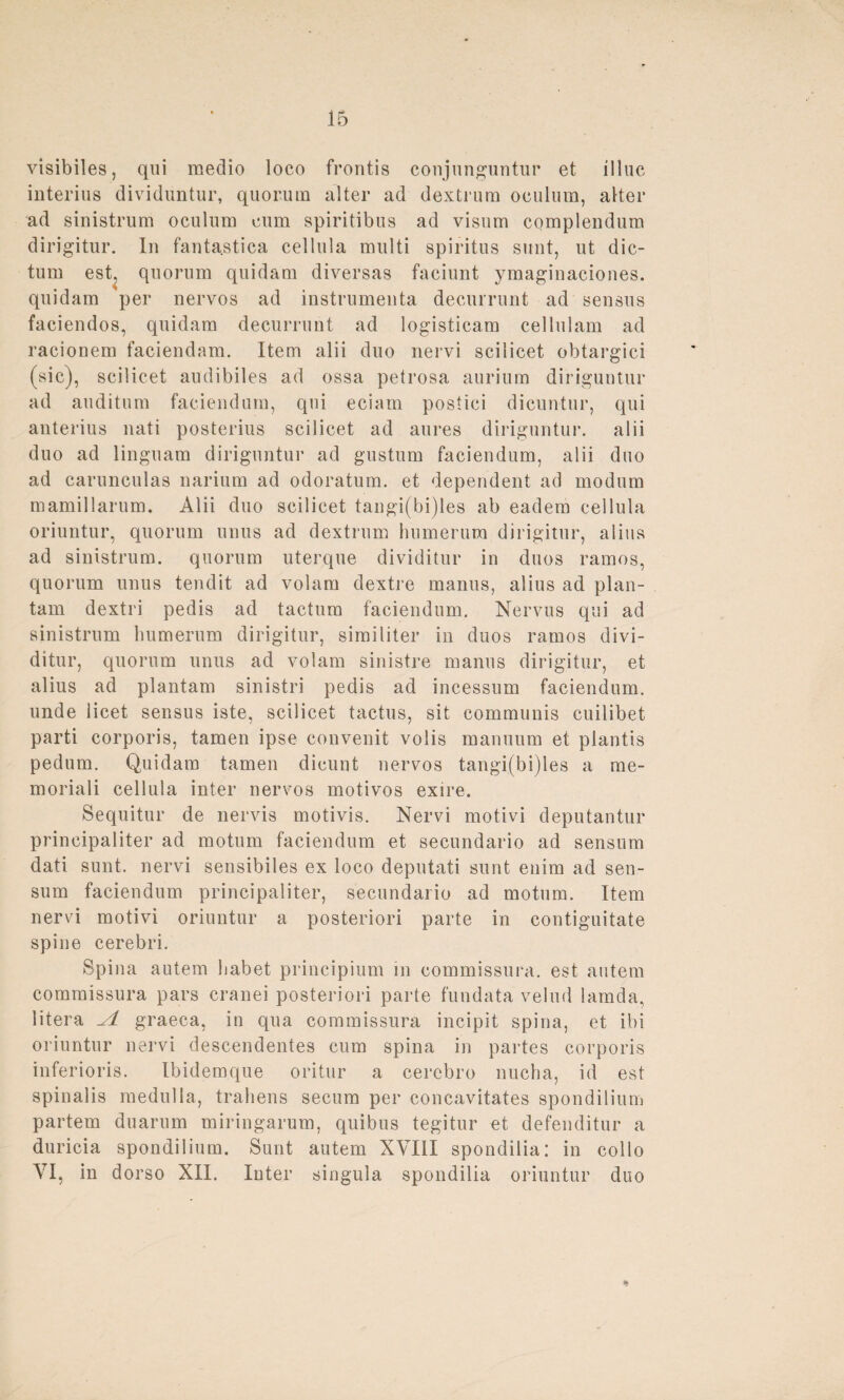 visibiles, qui medio loco frontis conjunguntur et illuc interius dividuntur, quorum alter ad dextrum oculum, alter ad sinistrum oculnm cum spiritibus ad visum complendum dirigitur. In fantastica cellula multi spiritus sunt, ut dic¬ tum est, quorum quidam diversas faciunt ymaginaciones. quidam per nervös ad instrumenta decurrunt ad sensus faciendos, quidam decurrunt ad logisticam cellulam ad racäonem faciendam. Item alii duo nervi scilicet obtargici (sic), scilicet audibiles ad ossa petrosa aurium diriguntur ad auditum faciendam, qni eciam postici dicuntur, qui anterius nati posterius scilicet ad aures diriguntur. alii duo ad linguam diriguntur ad gustum faciendum, alii duo ad carunculas narium ad odoratum. et dependent ad modum mamillarum. Alii duo scilicet tangi(bi)les ab eadem cellula oriuntur, quorum unus ad dextrum hnmerum dirigitur, alias ad sinistrum. quorum uterque dividitur in duos ramos, quorum unus tendit ad volam dextre manus, alias ad plan- tam dextri pedis ad tactum faciendum. Nervus qui ad sinistrum lmmerum dirigitur, similiter in duos ramos divi¬ ditur, quorum unus ad volam sinistre manus dirigitur, et alius ad plantam sinistri pedis ad incessum faciendum. unde licet sensus iste, scilicet tactus, sit communis cuilibet parti corporis, tarnen ipse convenit volis manuum et plantis pedum. Quidam tarnen dicunt nervös tangi(bi)les a me- moriali cellula inter nervös motivos exire. Sequitur de nervis motivis. Nervi motivi deputantur principaliter ad motum faciendum et secundario ad sensum dati sunt, nervi sensibiles ex loco deputati sunt enim ad sen¬ sum faciendum principaliter, secundario ad motum. Item nervi motivi oriuntur a posteriori parte in contiguitate spine cerebri. Spina autem habet principium in commissura. est autem commissura pars cranei posteriori parte fundata velud lamda, litera yl graeca, in qua commissura incipit spina, et ibi oriuntur nervi descendentes cum spina in partes corporis inferioris. Ibidemque oritur a cercbro nucha, id est spinalis medulla, trahens secum per concavitates spondilium partem duarum miringarum, quibus tegitur et defenditur a duricia spondilium. Sunt autem XVIII spondilia: in collo VI, in dorso XII. Inter singula spondilia oriuntur duo