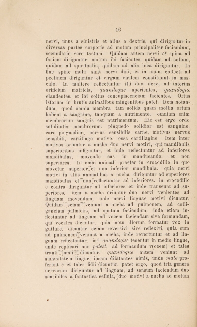 IG nervi, unus a sinistris et alias a dextris, qai diriguntur in diversas partes corporis ad motum principaliter faciendum, secundario vero tactum. Quidam autem nervi et spina ad faciem diriguntur motum ibi facientes, quidam ad collum, quidam ad spiritualia, quidam ad alia loca diriguntur. In fine spine multi sunt nervi dati, et in unum collecti ad pectinem diriguntur et virgam virilem constituunt in mas- culo. In muliere reflectuntur illi duo nervi ad interius orificium matricis, quandoque aperientes, quandoque claudentes, et ibi coitus concnpiscenciam facientes. Ortus istorum in brutis animalibus mingentibus patet. Item notan- dum, quod omnia membra tarn solida quam mollia ortum habent a sanguine, tanquam a nutrimento. omnium enim membrorum sanguis est nutrimentum. Hic est ergo ordo soliditatis membrorum. pinguedo solidior est sanguine, caro pinguedine, nervus sensibilis carne, motivus nervus sensibili, cartillago motivo, ossa cartillagine. Item inter motivos oriuntur a nuclia duo nervi motivi, qui mandibulis superioribus infiguntur, et inde reflectuntur ad inferiores mandibulas, movendo eas in manducando, et non superiores. In omni animali praeter in crocodillo in quo movetur superior„et non inferior mandibula. quia nervi motivi in aliis animalibus a nucha diriguntur ad superiores mandibulas et non reflectuntur ad inferiores, in crocodillo e contra diriguntur ad inferiores et inde transeunt ad su¬ periores. item a nucha oriuntur duo nervi venientes ad linguam movendam, unde nervi linguae motivi dicuntur. Quidam eciam t’veniunt a nucha ad pulmonem, ad colli- ganciam pulmonis, ad sputum faciendum. inde etiam in- fleetuntur ad linguam ad vocem faciendam sive formandam, qui vocales dicuntur, . quia motu illorum formatur vox in gutture. dicuntur eciam reversivi sive reflexivi, quia cum ad pulmonem^Veniunt a nucha, inde revertuntur et ad lin¬ guam reflectuntur. isti quandoque tenentur in medio lingue, unde replicari non potest, ad formandum v(ocem) et tales trauli mali t; dicuntur. quandoque autem veniunt ad summitatem lingue, ipsam dilatantes nimis, unde male pro- ferunt s et tales fidii dicuntur. patet ergo, quod tria genera nervorum diriguntur ad linguam, ad sensum faciendum duo sensibiles a fantastica cellula/duo motivi a nucha ad motum
