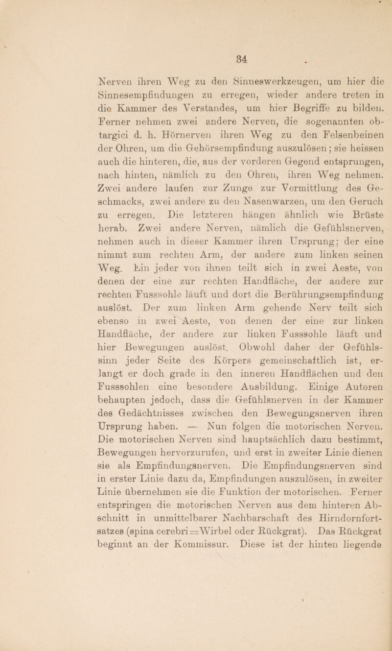 Nerven ihren Weg zu den Sinneswerkzeugen, um hier die Sinnesempfindungen zu erregen, wieder andere treten in die Kammer des Verstandes, um hier Begriffe zu bilden. Ferner nehmen zwei andere Nerven, die sogenannten ob- targici d. h. Hörnerven ihren Weg zu den Felsenbeinen der Ohren, um die Gehörsempfindung auszulösen; sie heissen auch die hinteren, die, aus der vorderen Gegend entsprungen, nach hinten, nämlich zu den Ohren, ihren Weg nehmen. Zwei andere laufen zur Zunge zur Vermittlung des Ge¬ schmacks, zwei andere zu den Nasenwarzen, um den Geruch zu erregen. Die letzteren hängen ähnlich wie Brüste herab. Zwei andere Nerven, nämlich die Gefühlsnerven, nehmen auch in dieser Kammer ihren Ursprung; der eine nimmt zum rechten Arm, der andere zum linken seinen Weg. Hin jeder von ihnen teilt sich in zwei Aeste, von denen der eine zur rechten Handfläche, der andere zur rechten Fusssohle läuft und dort die Berührungsempfindung auslöst. Der zum linken Arm gehende Nerv teilt sich ebenso in zwei Aeste, von denen der eine zur linken Handfläche, der andere zur linken Fasssohle läuft und hier Bewegungen auslöst. Obwohl daher der Gefühls¬ sinn jeder Seite des Körpers gemeinschaftlich ist, er¬ langt er doch grade in den inneren Handflächen und den Fusssohlen eine besondere Ausbildung. Einige Autoren behaupten jedoch, dass die Gefühlsnerven in der Kammer des Gedächtnisses zwischen den Bewegungsnerven ihren Ursprung haben. — Nun folgen die motorischen Nerven. Die motorischen Nerven sind hauptsächlich dazu bestimmt, Bewegungen hervorzurufen, und erst in zweiter Linie dienen sie als Empfindungsnerven. Die Empfindungsnerven sind in erster Linie dazu da, Empfindungen auszulösen, in zweiter Linie übernehmen sie die Funktion der motorischen. Ferner entspringen die motorischen Nerven aus dem hinteren Ab¬ schnitt in unmittelbarer Nachbarschaft des Hirndornfort¬ satzes (spina cerebri= Wirbel oder Kückgrat). Das Kückgrat beginnt an der Kommissur. Diese ist der hinten liegende l