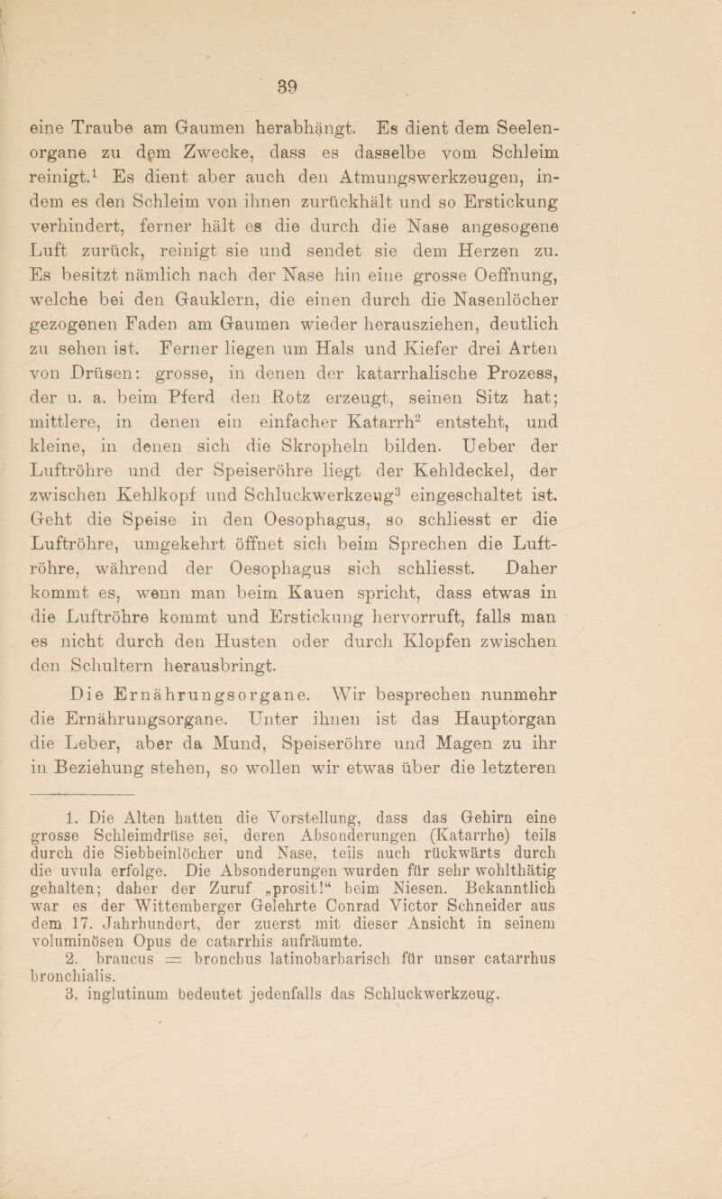 B9 eine Traube am Gaumen herabhängt. Es dient dem Seelen¬ organe zu dpm Zwecke, dass es dasselbe vom Schleim reinigt.1 Es dient aber auch den Atmungswerkzeugen, in¬ dem es den Schleim von ihnen zurückhält und so Erstickung verhindert, ferner hält es die durch die Nase angesogene Luft zurück, reinigt sie und sendet sie dem Herzen zu. Es besitzt nämlich nach der Nase hin eine grosse Oeffnung, welche bei den Gauklern, die einen durch die Nasenlöcher gezogenen Faden am Gaumen wieder herausziehen, deutlich zu sehen ist. Ferner liegen um Hals und Kiefer drei Arten von .Drüsen: grosse, in denen der katarrhalische Prozess, der u. a. beim Pferd den Potz erzeugt, seinen Sitz hat; mittlere, in denen ein einfacher Katarrh2 entsteht, und kleine, in denen sich die Skropheln bilden. Ueber der Luftröhre und der Speiseröhre liegt der Kehldeckel, der zwischen Kehlkopf und Schluckwerkzeug3 eingeschaltet ist. Geht die Speise in den Oesophagus, so schliesst er die Luftröhre, umgekehrt öffnet sich beim Sprechen die Luft¬ röhre, während der Oesophagus sich schliesst. Daher kommt es, wenn man beim Kauen spricht, dass etwas in die Luftröhre kommt und Erstickung hervorruft, falls man es nicht durch den Husten oder durch Klopfen zwischen den Schultern herausbringt. Die Ernährungsorgane. Wir besprechen nunmehr die Ernährungsorgane. Unter ihnen ist das Hauptorgan die Leber, aber da Mund, Speiseröhre und Magen zu ihr in Beziehung stehen, so wollen wir etwas über die letzteren 1. Die Alten hatten die Vorstellung, dass das Gehirn eine grosse Schleimdrüse sei, deren Absonderungen (Katarrhe) teils durch die Siebbeinlöcher und Nase, teils auch rückwärts durch die uvula erfolge. Die Absonderungen wurden für sehr wohlthätig gehalten; daher der Zuruf „prosit!“ beim Niesen. Bekanntlich war es der Wittemberger Gelehrte Conrad Victor Schneider aus dem 17. Jahrhundert, der zuerst mit dieser Ansicht in seinem voluminösen Opus de catarrhis aufräumte. 2. braucus — bronchus latinobarbarisch für unser catarrhus bronchialis. 3. inglutinum bedeutet jedenfalls das Schluckwerkzeug.