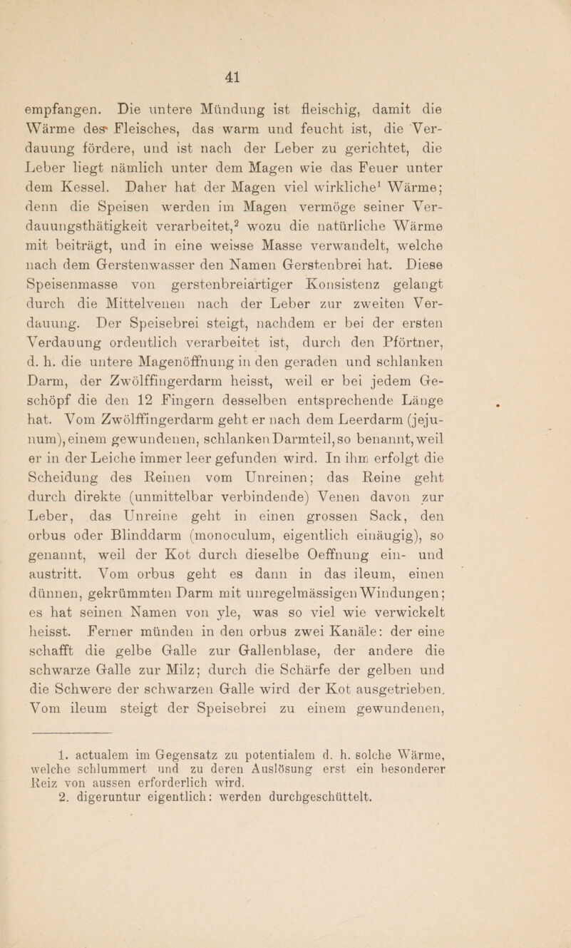 empfangen. Die untere Mündung ist fleischig, damit die Wärme des* Fleisches, das warm und feucht ist, die Ver¬ dauung fördere, und ist nach der Leber zu gerichtet, die Leber liegt nämlich unter dem Magen wie das Feuer unter dem Kessel. Daher hat der Magen viel wirkliche1 Wärme; denn die Speisen werden im Magen vermöge seiner Ver- dauungsthätigkeit verarbeitet,2 wozu die natürliche Wärme mit beiträgt, und in eine weisse Masse verwandelt, wrelche nach dem Gerstenwasser den Namen Gerstenbrei hat. Diese Speisenmasse von gerstenbreiartiger Konsistenz gelangt durch die Mittelvenen nach der Leber zur zweiten Ver¬ dauung. Der Speisebrei steigt, nachdem er bei der ersten Verdauung ordentlich verarbeitet ist, durch den Pförtner, d. h. die untere Magenöffnung in den geraden und schlanken Darm, der Zwölffingerdarm heisst, wreil er bei jedem Ge¬ schöpf die den 12 Fingern desselben entsprechende Länge hat. Vom Zwölffingerdarm geht er nach dem Leerdarm (jeju- num), einem gewundenen, schlanken Darmteil, so benannt, weil er in der Leiche immer leer gefunden wird. In ihm erfolgt die Scheidung des Keinen vom Unreinen; das Keine geht durch direkte (unmittelbar verbindende) Venen davon zur Leber, das Unreine geht in einen grossen Sack, den orbus oder Blinddarm (monoculum, eigentlich einäugig), so genannt, weil der Kot durch dieselbe Oeffnung ein- und austritt. Vom orbus geht es dann in das ileum, einen dünnen, gekrümmten Darm mit unregelmässigen Windungen; es hat seinen Namen von yle, was so viel wie verwickelt heisst. Ferner münden in den orbus zwei Kanäle : der eine schafft die gelbe Galle zur Gallenblase, der andere die schwarze Galle zur Milz; durch die Schärfe der gelben und die Schwere der schwarzen Galle wird der Kot ausgetrieben. Vom ileum steigt der Speisebrei zu einem gewundenen, 1. actualem im Gegensatz zu potentialem d. h. solche Wärme, welche schlummert und zu deren Auslösung erst ein besonderer Reiz von aussen erforderlich wird. 2. digeruntur eigentlich: werden durchgeschüttelt.