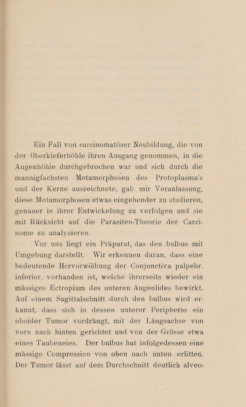 Ein Fall von carcinomatöser Neubildung, die von der Oberkieferhöhle ihren Ausgang genommen, in die Augenhöhle durchgebrochen war und sich durch die mannigfachsten Metamorphosen des Protoplasma’s und der Kerne auszeichnete, gab mir Veranlassung, diese Metamorphosen etwas eingehender zu studieren, genauer in ihrer Entwickelung zu verfolgen und sie mit Rücksicht auf die Parasiten-Theorie der Carci- nome zu analysieren. Vor uns liegt ein Präparat, das den bulbus mit Umgebung darstellt. Wir erkennen daran, dass eine bedeutende Hervorwölbung der Conjunctiva palpebr. inferior, vorhanden ist, welche ihrerseits wieder ein massiges Ectropium des unteren Augenlides bewirkt. Auf einem Sagittalschnitt durch den bulbus wird er¬ kannt, dass sich in dessen unterer Peripherie ein oboider Tumor vordrängt, mit der Längsachse von vorn nach hinten gerichtet und von der Grösse etwa eines Taubeneies. Der bulbus hat infolgedessen eine mässige Compression von oben nach unten erlitten. Der Tumor lässt auf dem Durchschnitt deutlich alveo-