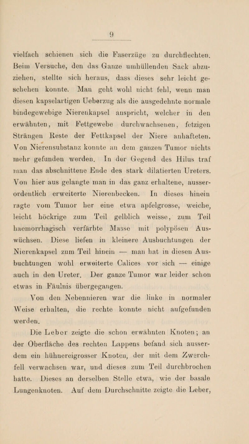 vielfach schienen sich die Faserzüge zu durchflechten. Beim Versuche, den das Ganze umhüllenden Sack ahzu- zielien, stellte sich heraus, dass dieses sehr leicht ge¬ schehen konnte. Man geht wohl nicht fehl, wenn mau diesen kapselartigen Ueberzug als die ausgedehnte normale bindegewebige Nierenkapsel anspricht, welcher in den erwähnten, mit Fettgewebe durchwachsenen, fetzigen Strängen Reste der Fettkapsel der Niere anhafteten. Von Nierensubstanz konnte an dem ganzen Tumor nichts mehr gefunden werden. In der Gegend des Hilus traf man das abschnittene Ende des stark dilatierten Ureters. Von hier aus gelangte man in das ganz erhaltene, ausser¬ ordentlich erweiterte Nierenbecken. In dieses hinein ragte vom Tumor her eine etwa apfelgrosse, weiche; leicht höckrige zum Teil gelblich weisse, zum Teil haemorrhagisch verfärbte Masse mit polypösen Aus¬ wüchsen. Diese liefen in kleinere Ausbuchtungen der Nierenkapsel zum Teil hinein — man hat in diesen Aus¬ buchtungen wohl erweiterte Calices vor sich — einige auch in den Ureter. Der ganze Tumor war leider schon etwas in Fäulnis übergegangen. Von den Nebennieren war die linke in normaler Weise erhalten, die rechte konnte nicht aufgefunden werden. Die Leber zeigte die schon erwähnten Knoten; an der Oberfläche des rechten Lappens befand sich ausser¬ dem ein hühnereigrosser Knoten, der mit dem Zwerch¬ fell verwachsen war, und dieses zum Teil durchbrochen hatte. Dieses an derselben Stelle etwa, wie der basale Lungenknoten. Auf dem Durchschnitte zeigte die Leber,