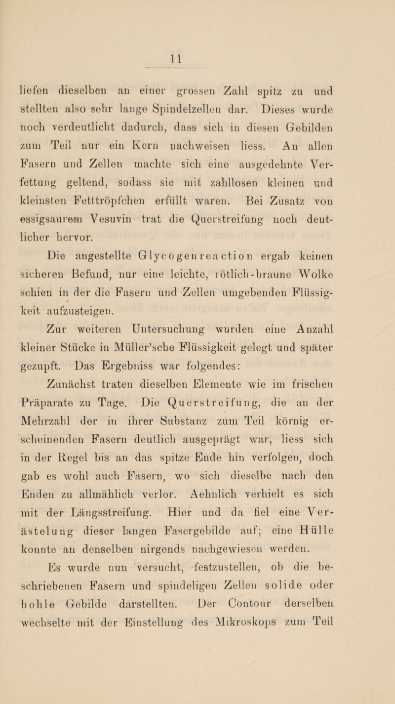 liefen dieselben an einer grossen Zahl spitz zu und stellten also sehr lange Spindelzellen dar. Dieses wurde noch verdeutlicht dadurch, dass sich in diesen Gebilden zum Teil nur ein Kern uachweisen liess. An allen Fasern und Zellen machte sich eine ausgedehnte Ver¬ fettung geltend, sodass sie mit zahllosen kleinen und kleinsten Fetttröpfchen erfüllt waren. Bei Zusatz von essigsaurem Vesuvin trat die Querstreifung noch deut¬ licher hervor. Die angestellte Glyc o gen rea cti o n ergab keinen sicheren Befund, nur eine leichte, rötlich-braune Wolke schien in der die Fasern und Zellen umgebenden Flüssig¬ keit aufzusteigen. Zur weiteren Untersuchung wurden eine Anzahl kleiner Stücke in Müller’sche Flüssigkeit gelegt und später gezupft. Das Ergebniss war folgendes: Zunächst traten dieselben Elemente wie im frischen Präparate zu Tage. Die Querstreifung, die au der Mehrzahl der in ihrer Substanz zum Teil körnig er¬ scheinenden Fasern deutlich ausgeprägt war, liess sich in der Regel bis an das spitze Ende hin verfolgen, doch gab es wohl auch Fasern, wo sich dieselbe nach den Enden zu allmählich verlor. Aehnlich verhielt es sich mit der Längsstreifung. Hier und da fiel eine Ver¬ ästelung dieser langen Fasergebilde auf; eine Hülle konnte an denselben nirgends nachgewiesen werden. Es wurde nun versucht, festzustellen, ob die be¬ schriebenen Fasern und spindeligen Zellen solide oder hohle Gebilde darstellten. Der Contour derselben wechselte mit der Einstellung des Mikroskops zum Teil