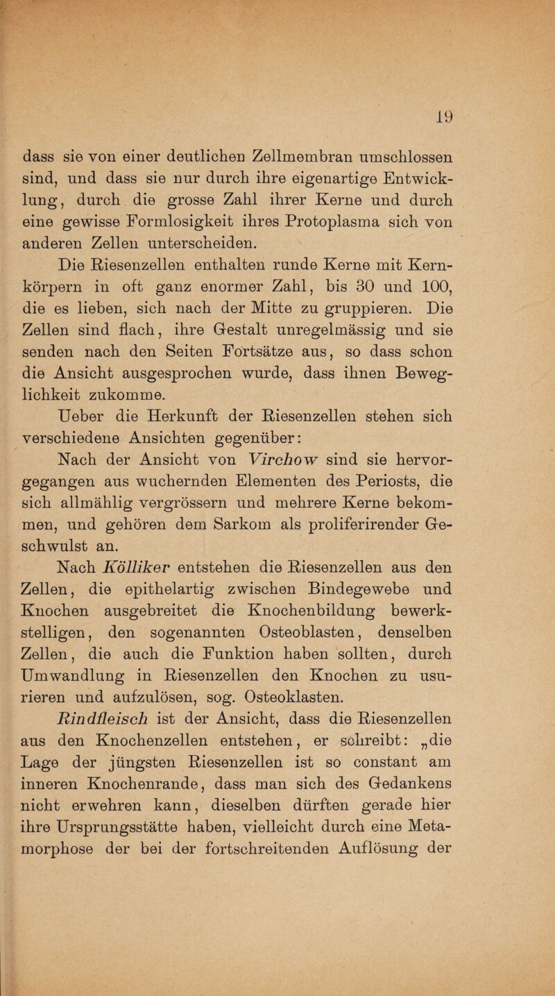 dass sie von einer deutlichen Zellmembran umschlossen sind, und dass sie nur durch ihre eigenartige Entwick¬ lung , durch die grosse Zahl ihrer Kerne und durch eine gewisse Formlosigkeit ihres Protoplasma sich von anderen Zellen unterscheiden. Die Kiesenzellen enthalten runde Kerne mit Kern¬ körpern in oft ganz enormer Zahl, bis 30 und 100, die es lieben, sich nach der Mitte zu gruppieren. Die Zellen sind flach, ihre Gestalt unregelmässig und sie senden nach den Seiten Fortsätze aus, so dass schon die Ansicht ausgesprochen wurde, dass ihnen Beweg¬ lichkeit zukomme. Ueber die Herkunft der Kiesenzellen stehen sich verschiedene Ansichten gegenüber: Nach der Ansicht von Virchow sind sie hervor¬ gegangen aus wuchernden Elementen des Periosts, die sich allmählig vergrössern und mehrere Kerne bekom¬ men, und gehören dem Sarkom als proliferirender Ge¬ schwulst an. Nach Kölliker entstehen die Kiesenzellen aus den Zellen, die epithelartig zwischen Bindegewebe und Knochen ausgebreitet die Knochenbildung bewerk¬ stelligen , den sogenannten Osteoblasten, denselben Zellen, die auch die Funktion haben sollten, durch Umwandlung in Riesenzellen den Knochen zu usu- rieren und aufzulösen, sog. Osteoklasten. Rindfleisch ist der Ansicht, dass die Kiesenzellen aus den Knochenzellen entstehen, er schreibt: „die Lage der jüngsten Kiesenzellen ist so constant am inneren Knochenrande, dass man sich des Gedankens nicht erwehren kann, dieselben dürften gerade hier ihre Ursprungsstätte haben, vielleicht durch eine Meta¬ morphose der bei der fortschreitenden Auflösung der