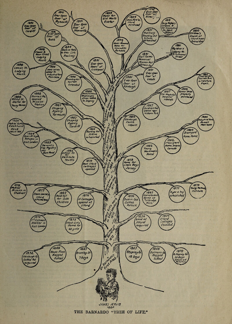 JAMS5 JtnviS THE BARNAEDO “TREE OF LIFE/*