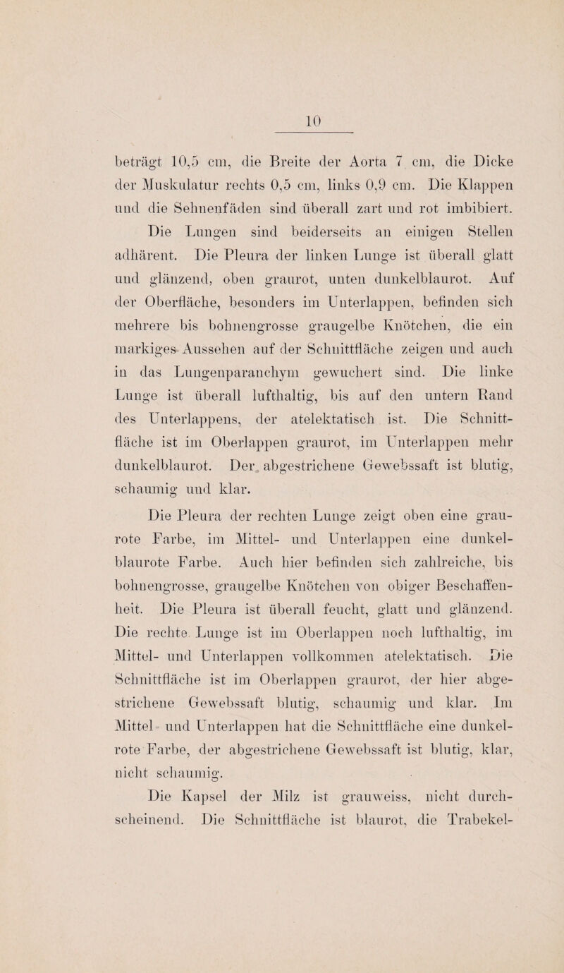 beträgt 10,5 cm, die Breite der Aorta 7 cm, die Dicke der Muskulatur rechts 0,5 cm, links 0,9 cm. Die Klappen und die Sehnenfäden sind überall zart und rot imbibiert. Die Lungen sind beiderseits an einigen Stellen adhärent. Die Pleura der linken Lunge ist überall glatt und glänzend, oben graurot, unten dunkelblaurot. Auf der Oberfläche, besonders im Unterlappen, befinden sich mehrere bis bohnengrosse graugelbe Knötchen, die ein markiges Aussehen auf der Schnittfläche zeigen und auch in das Lungenparanchym gewuchert sind. Die linke Lunge ist überall lufthaltig, bis auf den untern Band des Unterlappens, der atelektatisch ist. Die Schnitt¬ fläche ist im Oberlappen graurot, im Unterlappen mehr dunkelblaurot. Der abgestrichene Gewebssaft ist blutig, schaumig und klar. Die Pleura der rechten Lunge zeigt oben eine grau¬ rote Farbe, im Mittel- und Unterlappen eine dunkel¬ blaurote Farbe. Auch hier befinden sich zahlreiche, bis bohnengrosse, graugelbe Knötchen von obiger Beschaffen¬ heit. Die Pleura ist überall feucht, glatt und glänzend. Die rechte Lunge ist im Oberlappen noch lufthaltig, im Mittel- und Unterlappen vollkommen atelektatisch. Die Schnittfläche ist im Oberlappen graurot, der hier abge¬ strichene Gewebssaft blutig, schaumig und klar. Im Mittel = und Unterlappen hat die Schnittfläche eine dunkel¬ rote Farbe, der abgestrichene Gewebssaft ist blutig, klar, nicht schaumig. O Die Kapsel der Milz ist grauweiss, nicht durch¬ scheinend. Die Schnittfläche ist blaurot, die Trabekel-