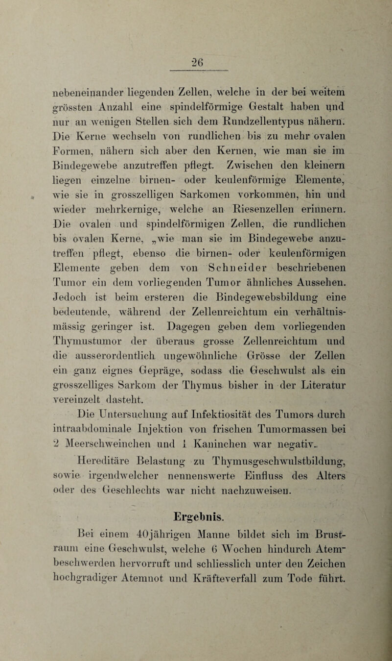 nebeneinander liegenden Zellen, welche in der bei weitem grössten Anzahl eine spindelförmige Gestalt haben und nur an wenigen Stellen sich dem Rundzellentypus nähern. Die Kerne wechseln von rundlichen bis zu mehr ovalen Formen, nähern sich aber den Kernen, wie man sie im Bindegewebe anzutreffen pflegt. Zwischen den kleinern liegen einzelne birnen- oder keulenförmige Elemente, wie sie in grosszeiligen Sarkomen Vorkommen, hin und wieder mehrkernige, welche an Riesenzellen erinnern. Die ovalen und spindelförmigen Zellen, die rundlichen bis ovalen Kerne, „wie man sie im Bindegewebe anzu¬ treffen pflegt, ebenso die birnen- oder keulenförmigen Elemente geben dem von Schneider beschriebenen Tumor ein dem vorliegenden Tumor ähnliches Aussehen. Jedoch ist beim ersteren die Bindegewebsbildung eine bedeutende, während der Zellenreichtum ein verhältnis¬ mässig geringer ist. Dagegen geben dem vorliegenden Thymustumor der überaus grosse Zellenreichtum und die ausserordentlich ungewöhnliche Grösse der Zellen ein ganz eignes Gepräge, sodass die Geschwulst als ein grosszeiliges Sarkom der Thymus bisher in der Literatur vereinzelt dasteht. Die Untersuchung auf Infektiosität des Tumors durch intraabdominale Injektion von frischen Tumormassen bei 2 Meerschweinchen und i Kaninchen war negativ.. Hereditäre Belastung zu Thymusgeschwulstbildung, sowie irgendwelcher nennenswerte Einfluss des Alters oder des Geschlechts war nicht nachzuweisen. Ergebnis. Bei einem 40jährigen Manne bildet sich im Brust- raum eine Geschwulst, welche 6 Wochen hindurch Atem¬ beschwerden hervorruft und schliesslich unter den Zeichen hochgradiger Atemnot und Kräfteverfall zum Tode führt.