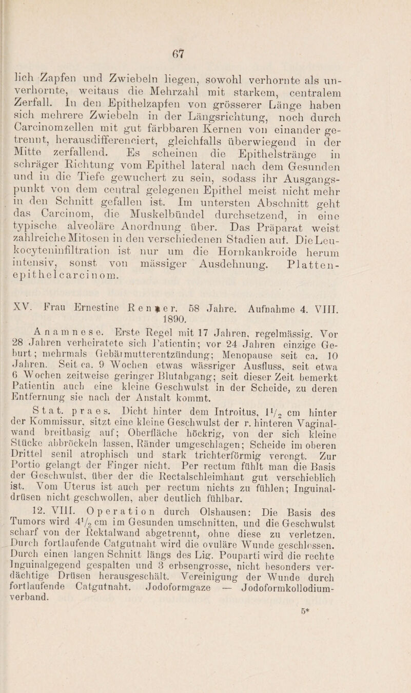 lieh Zapfen und Zwiebeln liegen, sowohl verhornte als un- verhornte, weitaus die Mehrzahl mit starkem, centralem Zerfall. In den Epithelzapfen von grösserer Länge haben sich mehrere Zwiebeln in der Längsrichtung, noch durch Carcinomzellen mit gut färbbaren Kernen von einander ge¬ trennt, heraus differenziert, gleichfalls überwiegend in der Mitte zerfallend. Es scheinen die Epithelstränge in schräger Richtung vom Epithel lateral nach dem Gesunden und in die Tiefe gewuchert zu sein, sodass ihr Ausgangs¬ punkt von dem central gelegenen Epithel meist nicht mehr in den Schnitt gefallen ist. Im untersten Abschnitt geht das^ Carcinom, die Muskelbündel durchsetzend, in eine typische alveoläre Anordnung über. Das Präparat weist zahlreiche Mitosen in den verschiedenen Stadien aut. Die Leu- kocyteninfiltration ist nur um die Hornkankroide herum intensiv, sonst von massiger Ausdehnung. Platten¬ epithel carci n om. XV. Frau Ernestine Eenfer. 58 Jahre. Aufnahme 4. VIII. 1890. Anamnese. Erste Regel mit 17 Jahren, regelmässig. Vor 28 Jahren verheiratete sich Patientin; vor 24 Jahren einzige Ge¬ hurt; mehrmals Gebärmutterentzündung; Menopause seit ca. 10 Jahren. Seit ca. 9 Wochen etwas wässriger Ausfluss, seit etwa 6 Wochen zeitweise geringer Blutabgang; seit dieser Zeit bemerkt Patientin auch eine kleine Geschwulst in der Scheide, zu deren Entfernung sie nach der Anstalt kommt. S t a t. p r a e s. Dicht hinter dem Introitus, P/„ cm hinter der Kommissur, sitzt eine kleine Geschwulst der r. hinteren Vaginal¬ wand breitbasig auf; Oberfläche höckrig, von der sich kleine Stücke abbröckeln lassen, Ränder umgeschlagen; Scheide im oberen Drittel senil atrophisch und stark trichterförmig verengt. Zur Portio gelangt der Finger nicht. Per rectum fühlt man die Basis der Geschwulst, über der die Rectalschleimhaut gut verschieblich ist. Vom Uterus ist auch per rectum nichts zu fühlen; Inguinal¬ drüsen nicht geschwollen, aber deutlich fühlbar. 12. VIII. Operation durch Olshausen: Die Basis des Tumors wird 4!/2 cm im Gesunden Umschnitten, und die Geschwulst scharf von der Rektalwand abgetrennt, ohne diese zu verletzen. Durch fortlaufende Catgutnaht wird die ovuläre Wunde geschlossen. Durch einen langen Schnitt längs des Lig. Pouparti wird die rechte Inguinalgegend gespalten und 3 erbsengrosse, nicht besonders ver¬ dächtige Drüsen herausgeschält. Vereinigung der Wunde durch fortlaufende Catgutnaht. Jodoformgaze — Jodoformkollodium¬ verband. 5*