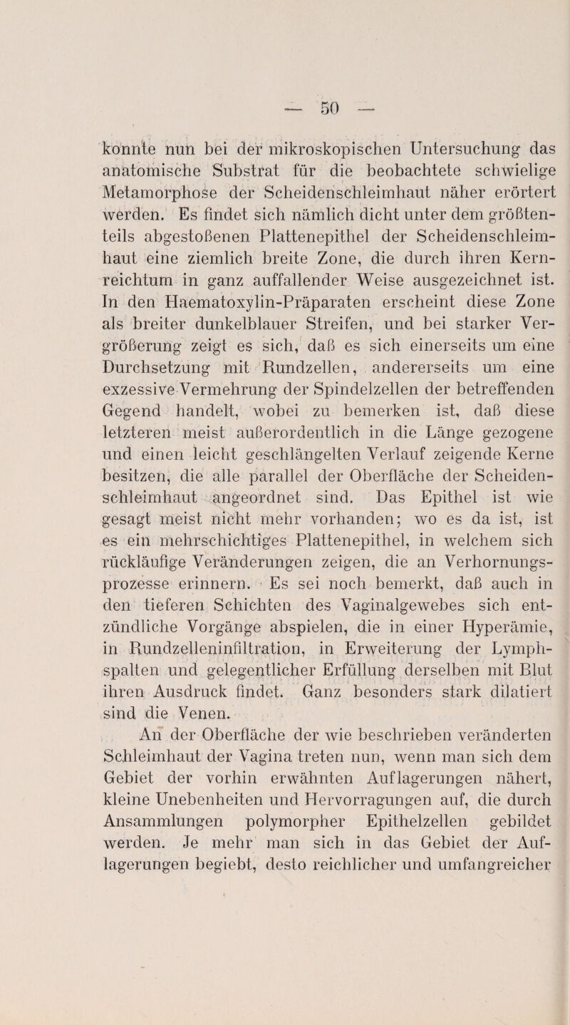 konnte nun bei der mikroskopischen Untersuchung das anatomische Substrat für die beobachtete schwielige Metamorphose der Scheidenschleimhaut näher erörtert werden. Es findet sich nämlich dicht unter dem größten¬ teils abgestoßenen Plattenepithel der Scheidenschleim¬ haut eine ziemlich breite Zone, die durch ihren Kern¬ reichtum in ganz auffallender Weise ausgezeichnet ist. In den Haematoxylin-Präparaten erscheint diese Zone als breiter dunkelblauer Streifen, und bei starker Ver¬ größerung zeigt es sich, daß es sich einerseits um eine Durchsetzung mit Rundzellen, andererseits um eine exzessive Vermehrung der Spindelzellen der betreffenden Gegend handelt, wobei zu bemerken ist, daß diese letzteren meist außerordentlich in die Länge gezogene und einen leicht geschlängelten Verlauf zeigende Kerne besitzen, die alle parallel der Oberfläche der Scheiden¬ schleimhaut angeordnet sind. Das Epithel ist wie gesagt meist nicht mehr vorhanden; wo es da ist, ist es ein mehrschichtiges Plattenepithel, in welchem sich rückläufige Veränderungen zeigen, die an Verhornungs¬ prozesse erinnern. Es sei noch bemerkt, daß auch in den tieferen Schichten des Vaginalgewebes sich ent¬ zündliche Vorgänge abspielen, die in einer Hyperämie, in Rundzelleninfiltration, in Erweiterung der Lymph¬ spalten und gelegentlicher Erfüllung derselben mit Blut ihren Ausdruck findet. Ganz besonders stark diktiert sind die Venen. An der Oberfläche der wie beschrieben veränderten Schleimhaut der Vagina treten nun, wenn man sich dem Gebiet der vorhin erwähnten Auflagerungen nähert, kleine Unebenheiten und Hervorragungen auf, die durch Ansammlungen polymorpher Epithelzellen gebildet werden. Je mehr man sich in das Gebiet der Auf¬ lagerungen begiebt, desto reichlicher und umfangreicher